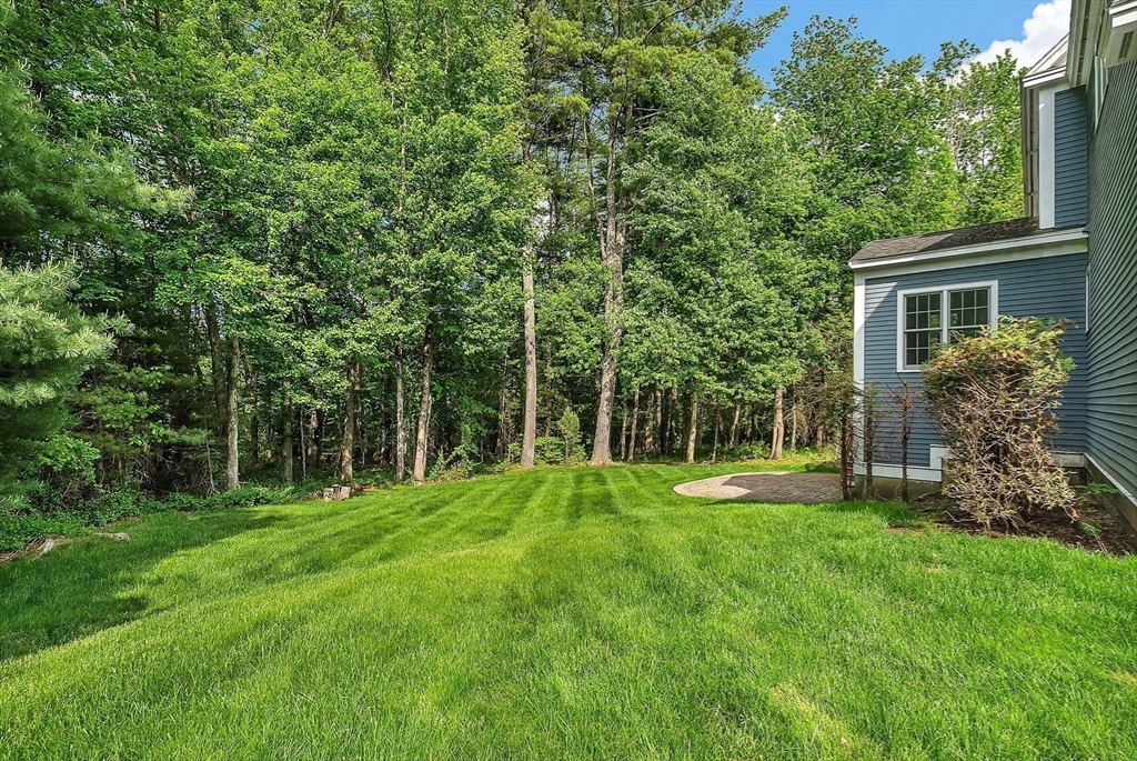 1125 Burroughs Rd