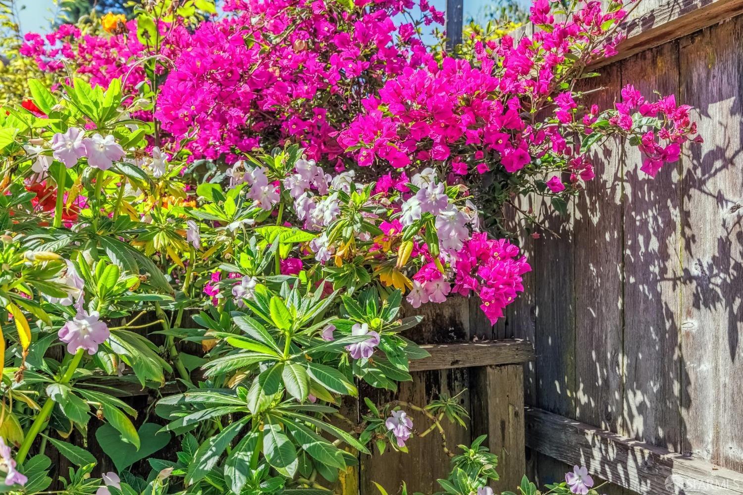 414-416 Cortland Avenue