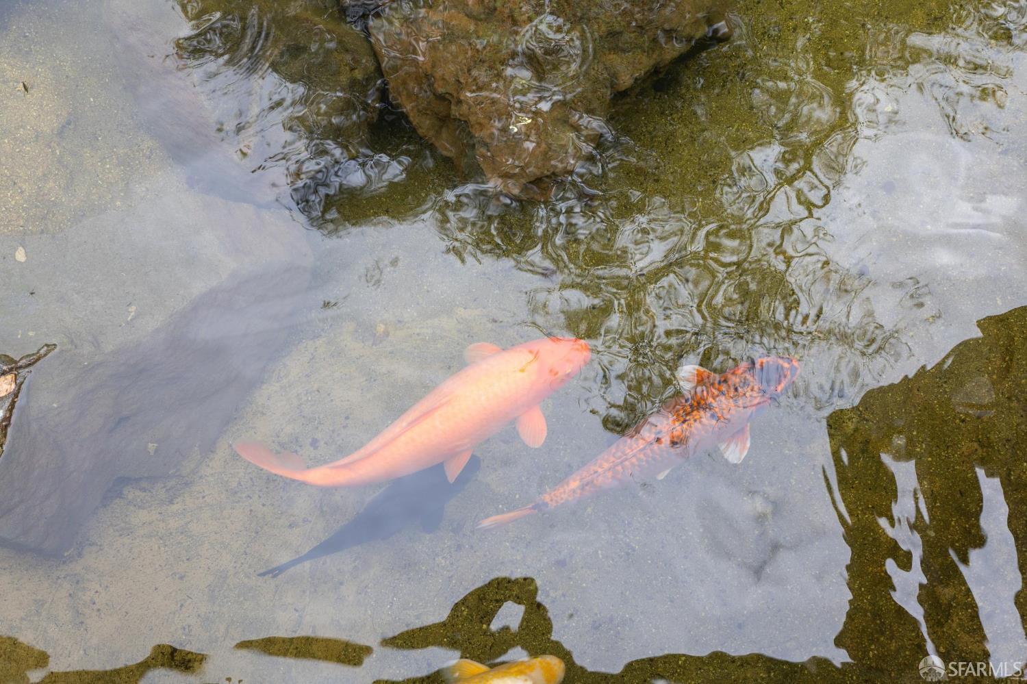 215 Red Rock Way # 204J