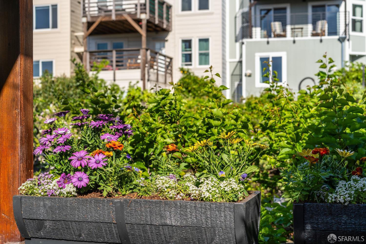 631 San Bruno Avenue