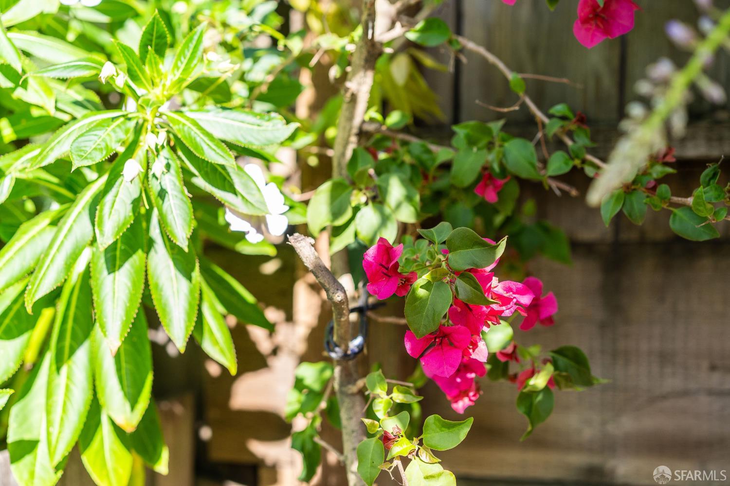 631 San Bruno Avenue