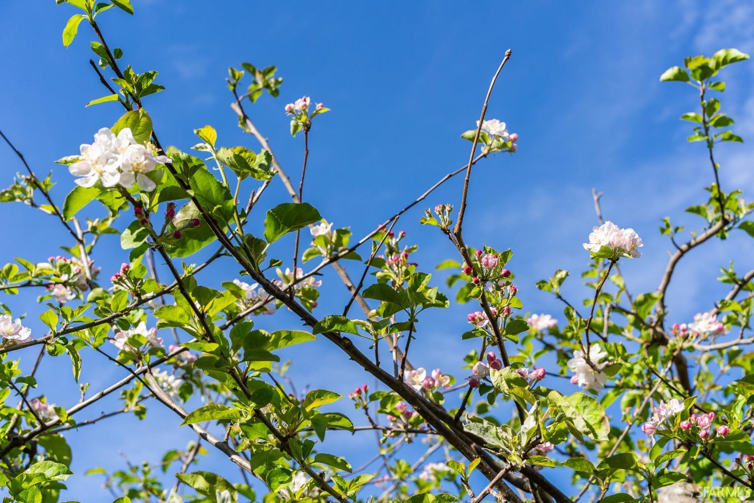 631 San Bruno Avenue