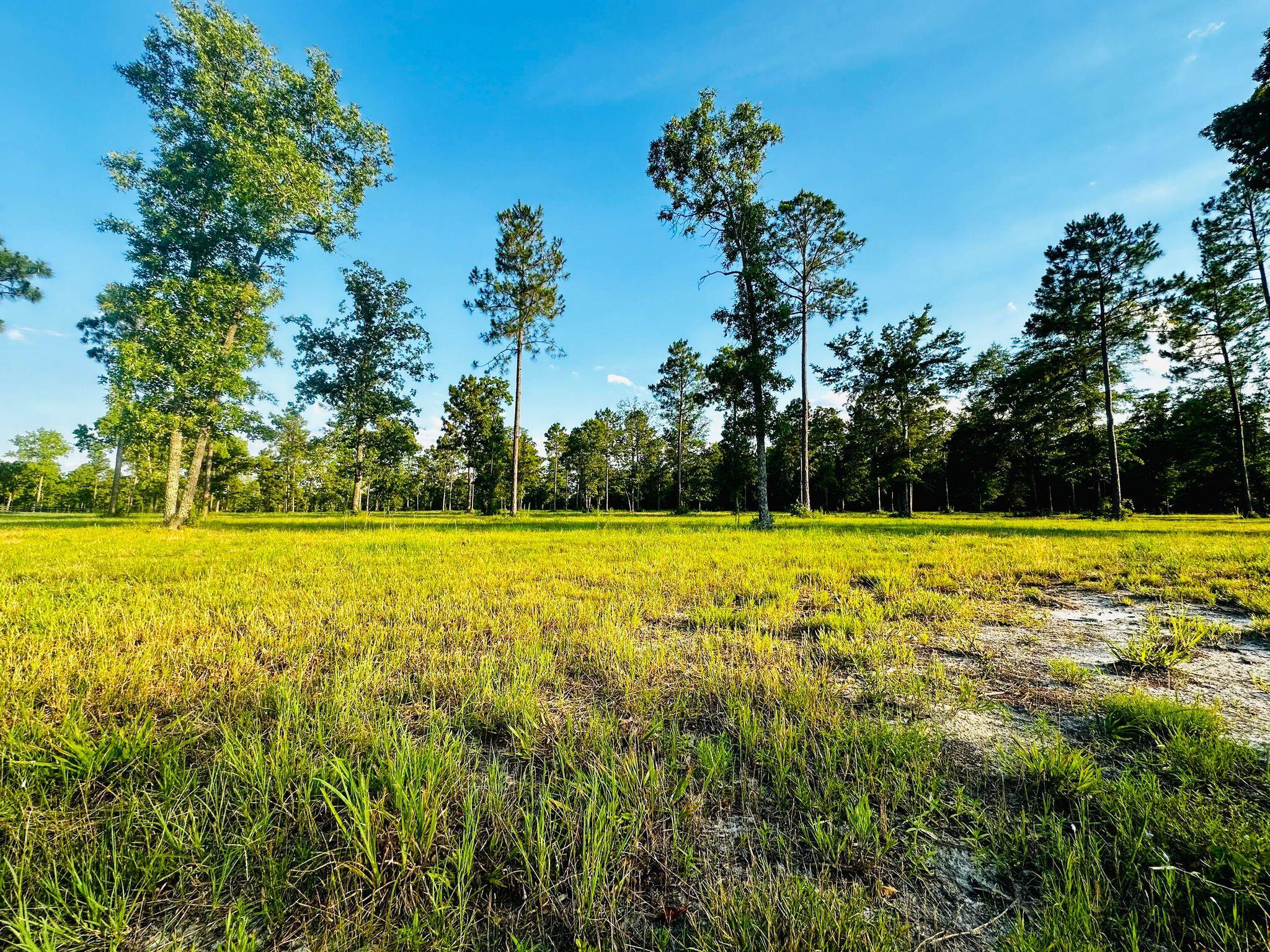 Lot 5 Troup Manor