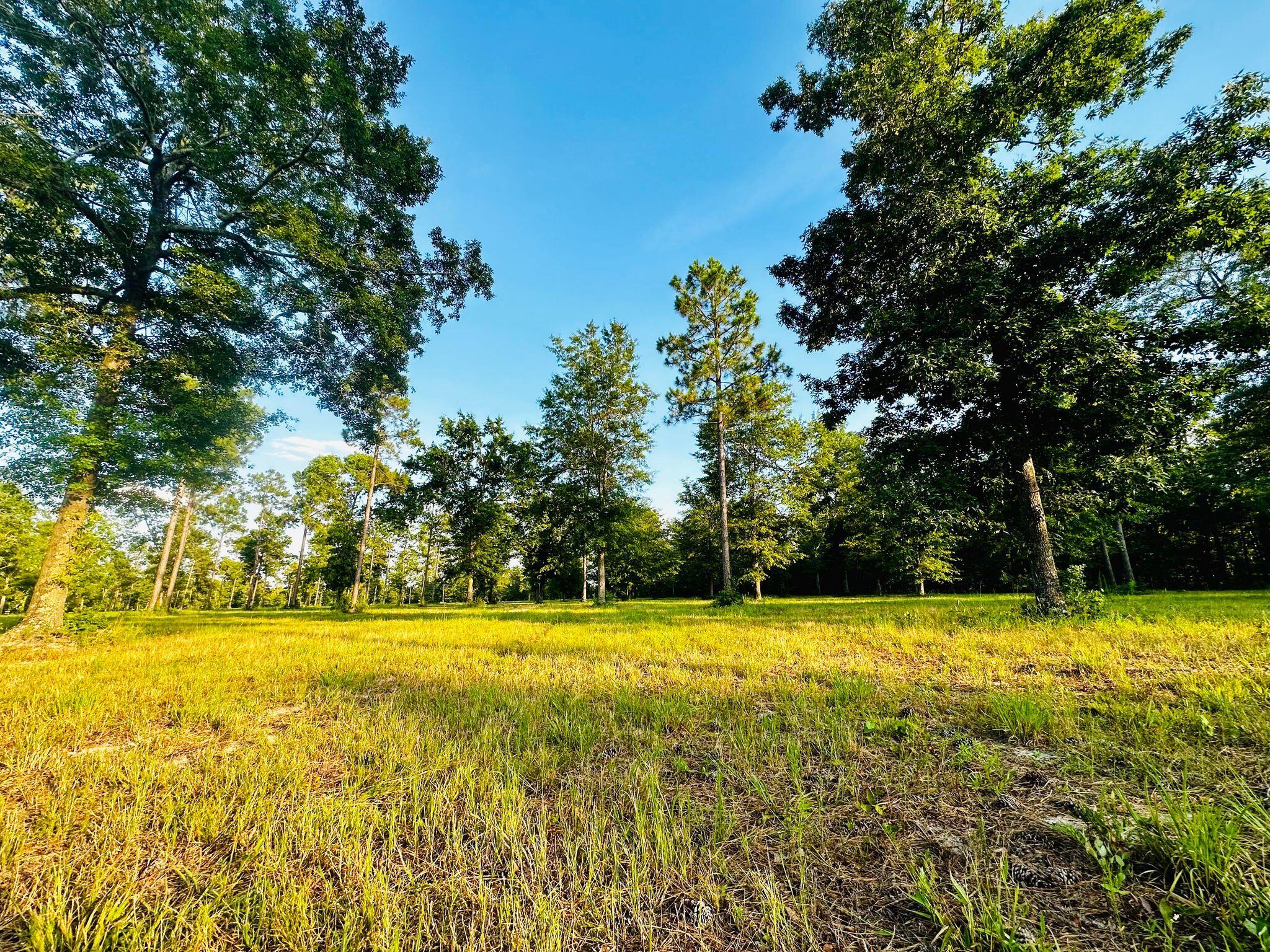Lot 5 Troup Manor