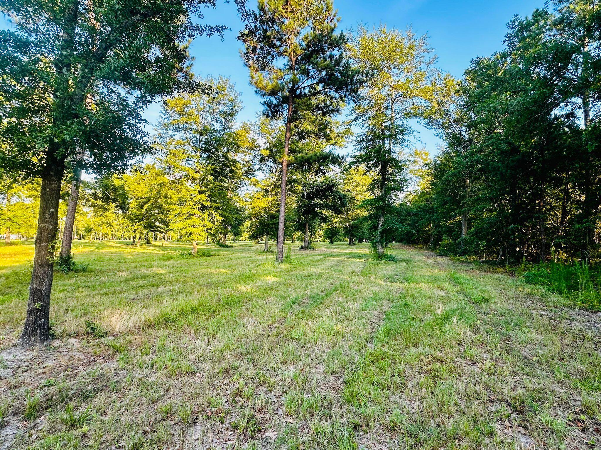 Lot 5 Troup Manor