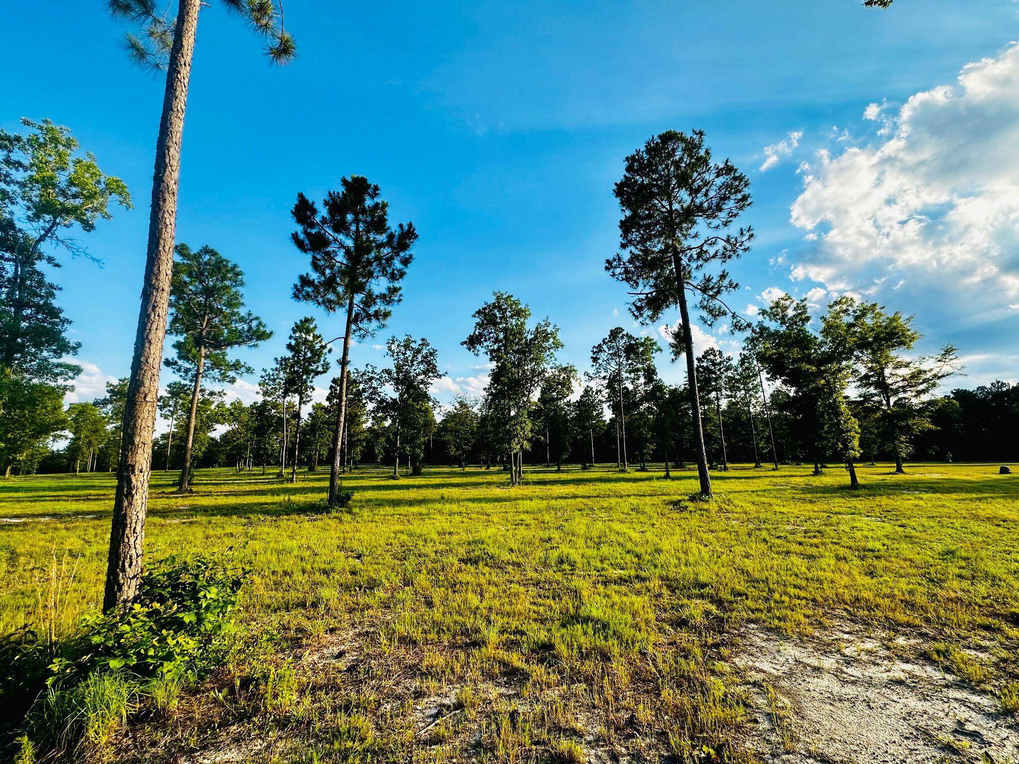 Lot 5 Troup Manor