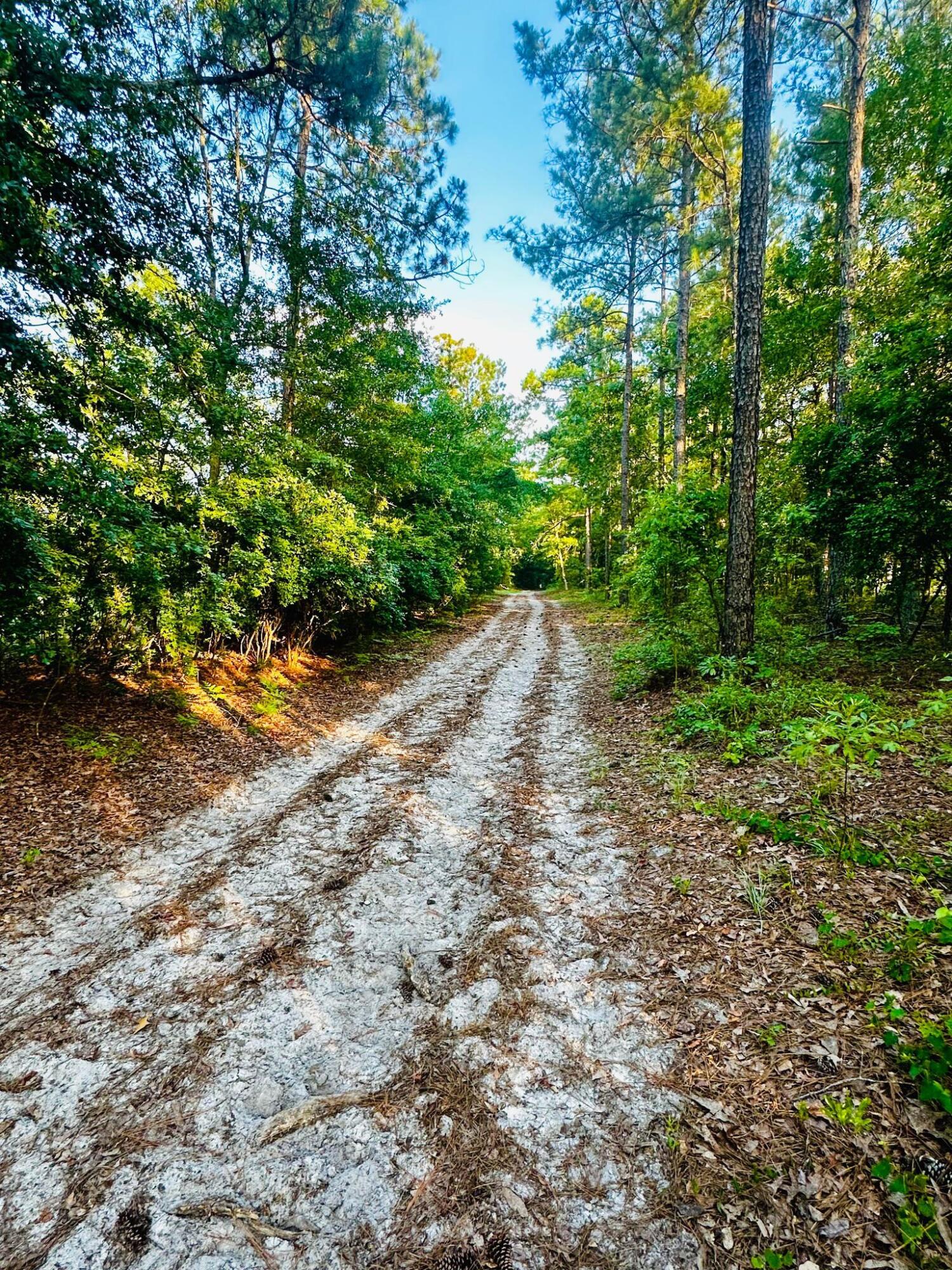 Lot 5 Troup Manor