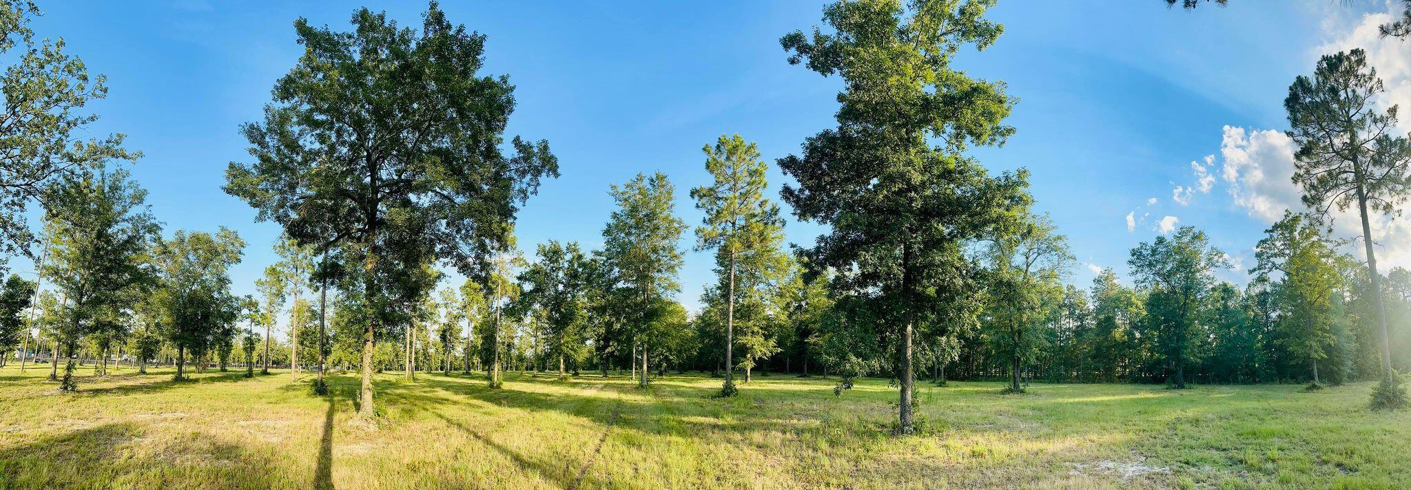 Lot 5 Troup Manor