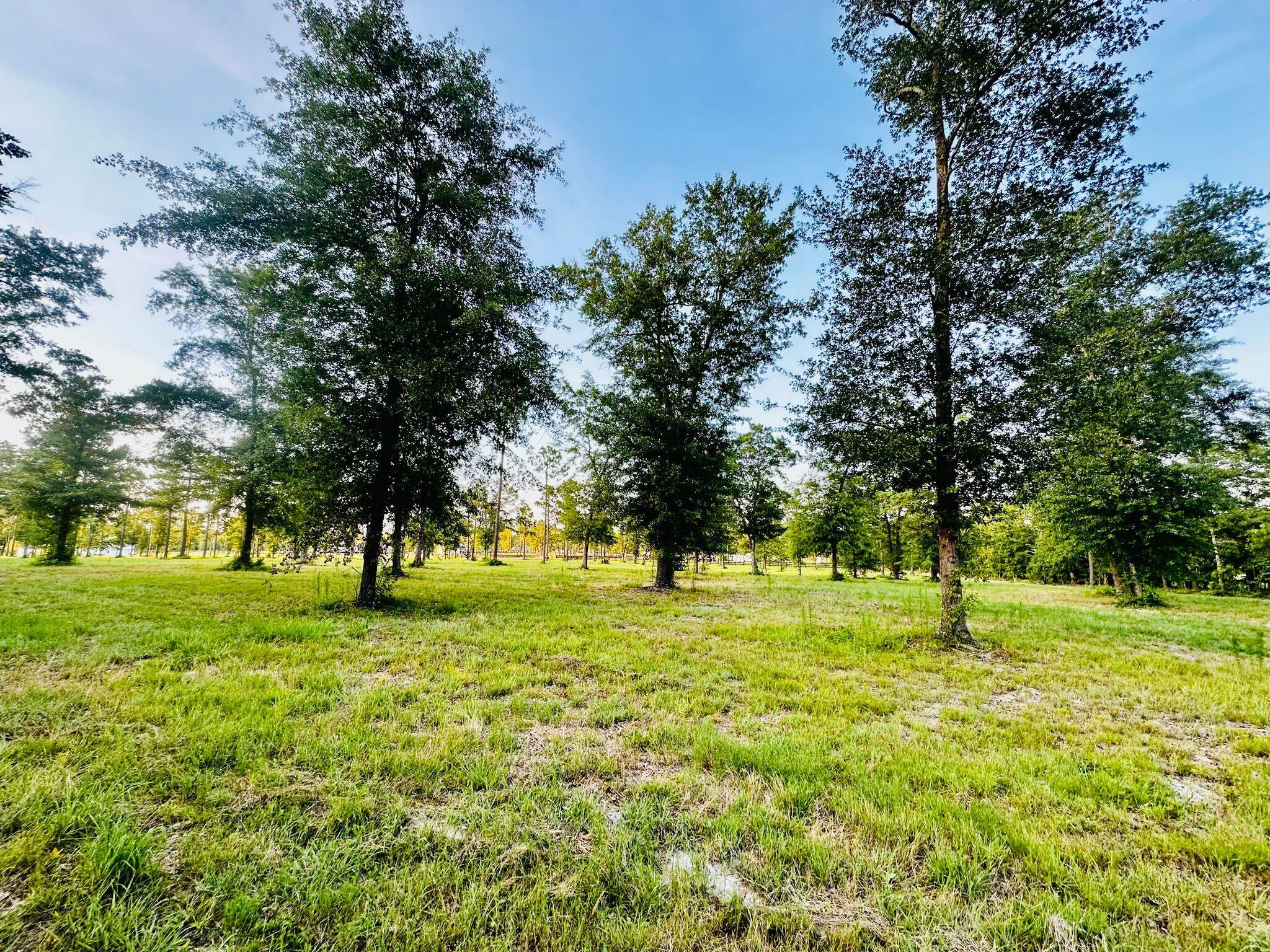 Lot 6 Troup Manor SE