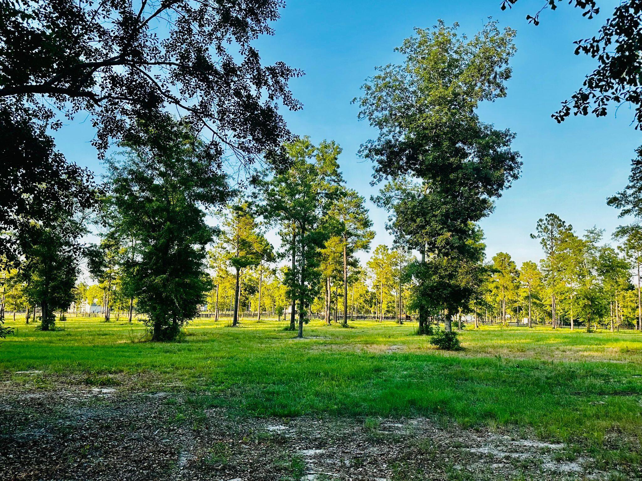 Lot 6 Troup Manor SE