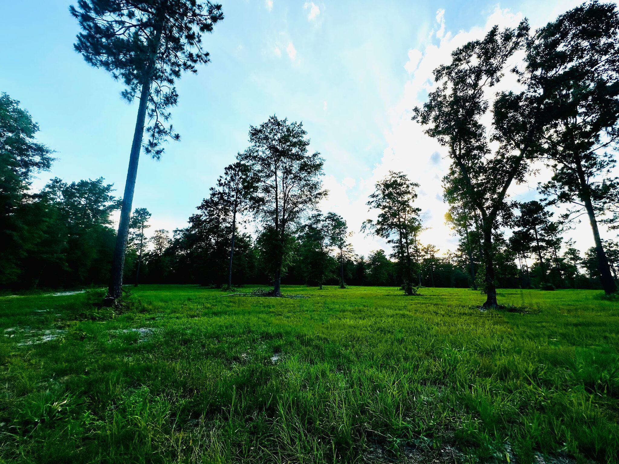 Lot 6 Troup Manor SE