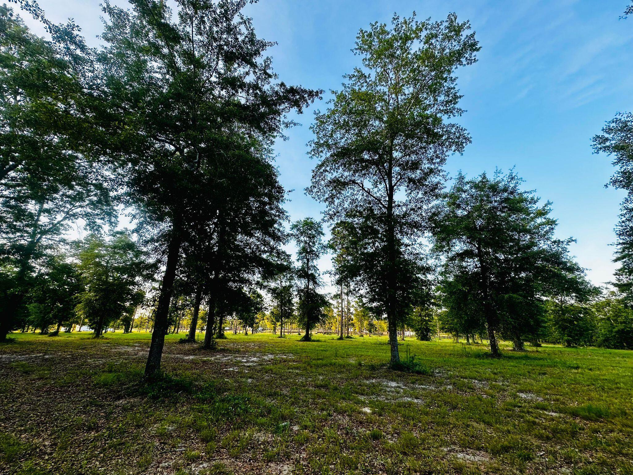 Lot 6 Troup Manor SE