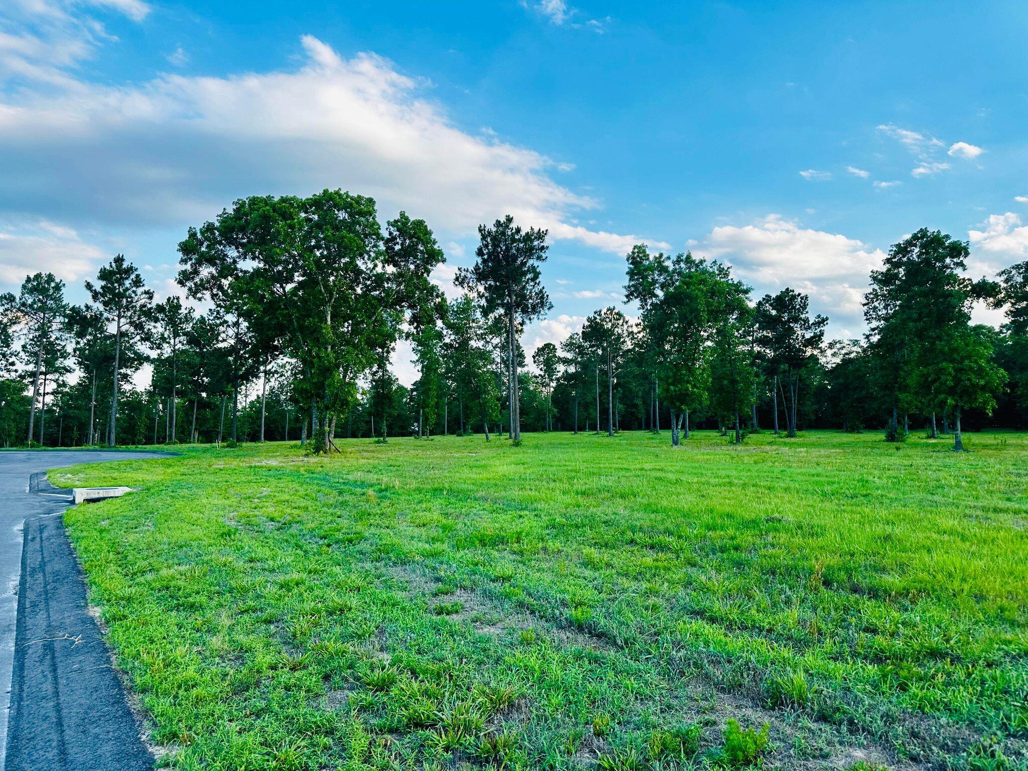 Lot 6 Troup Manor SE