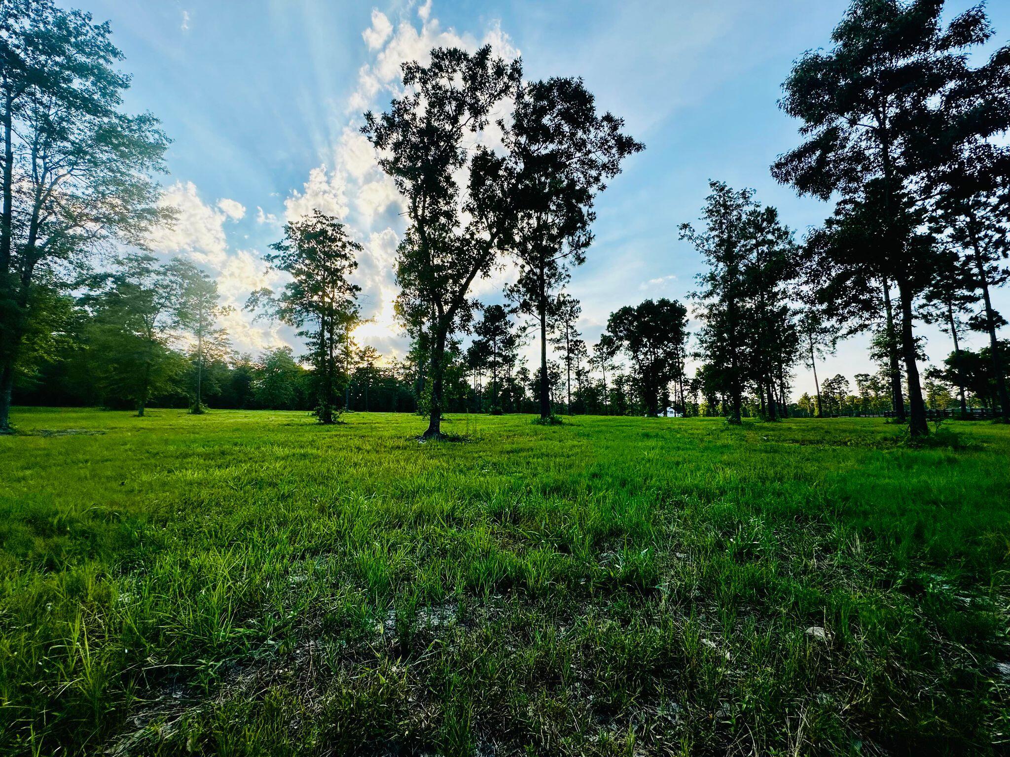 Lot 6 Troup Manor SE