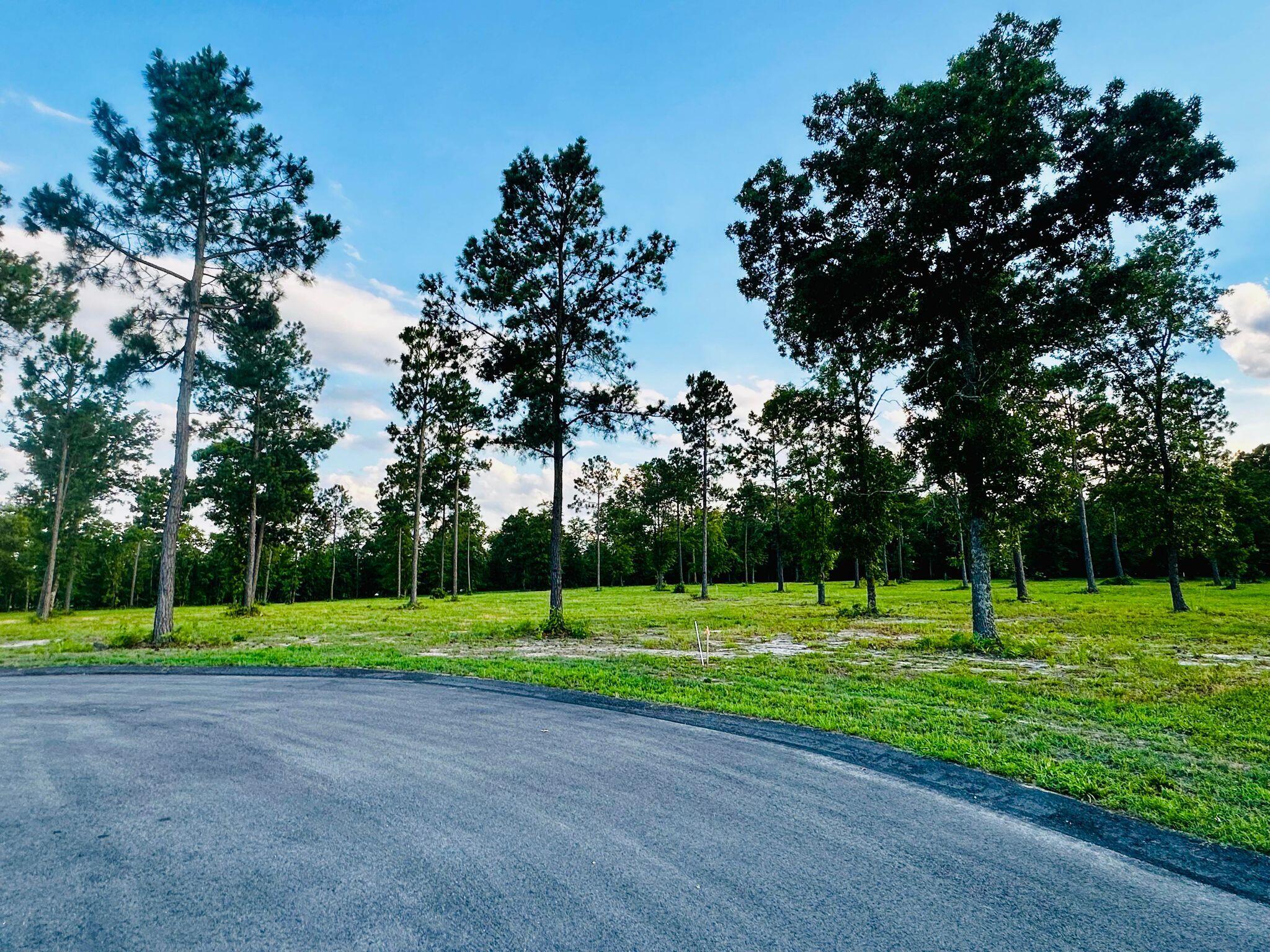 Lot 6 Troup Manor SE