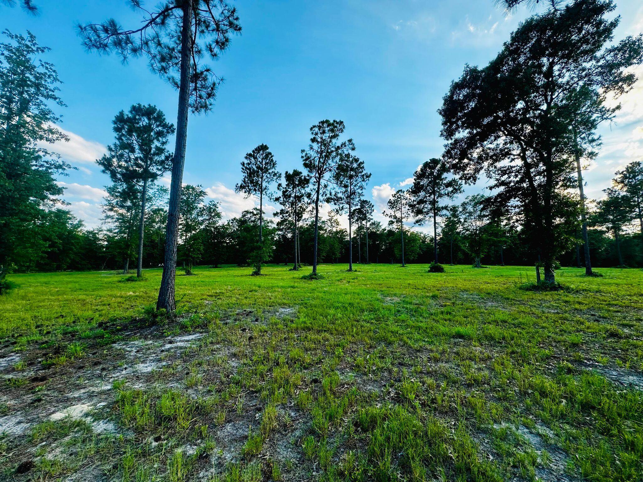 Lot 6 Troup Manor SE