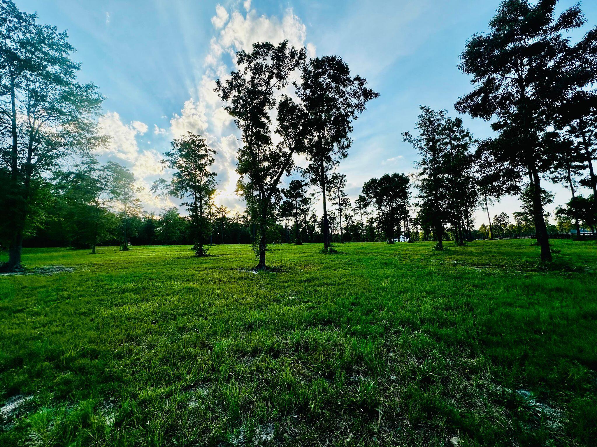 Lot 6 Troup Manor SE