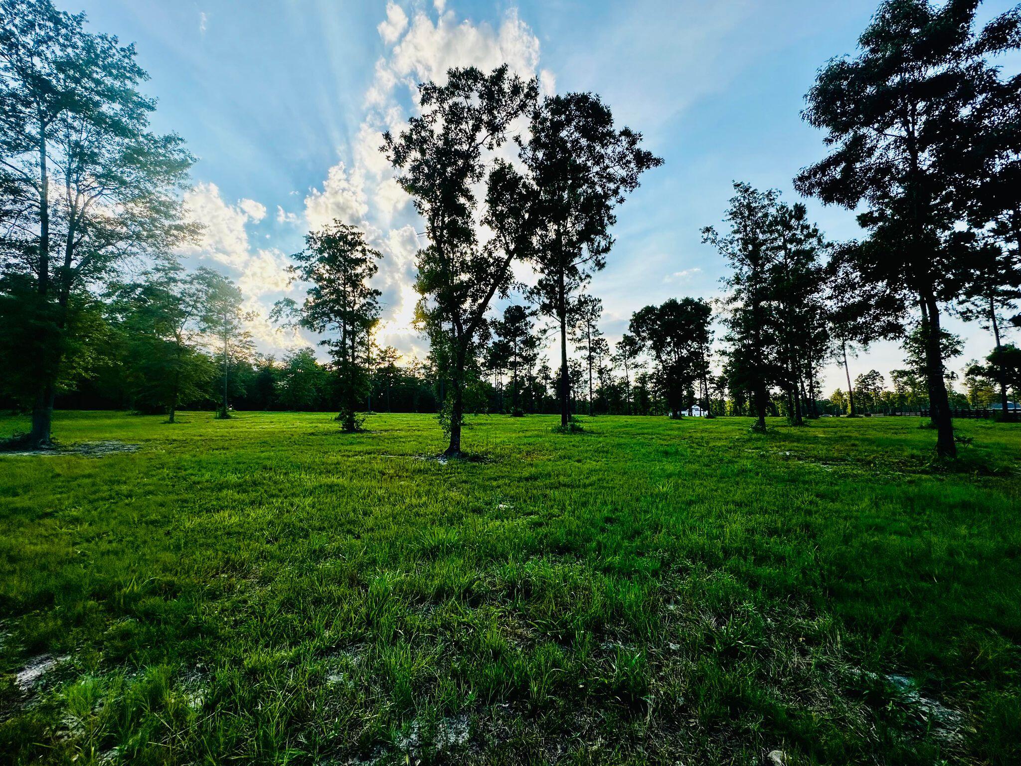 Lot 6 Troup Manor SE