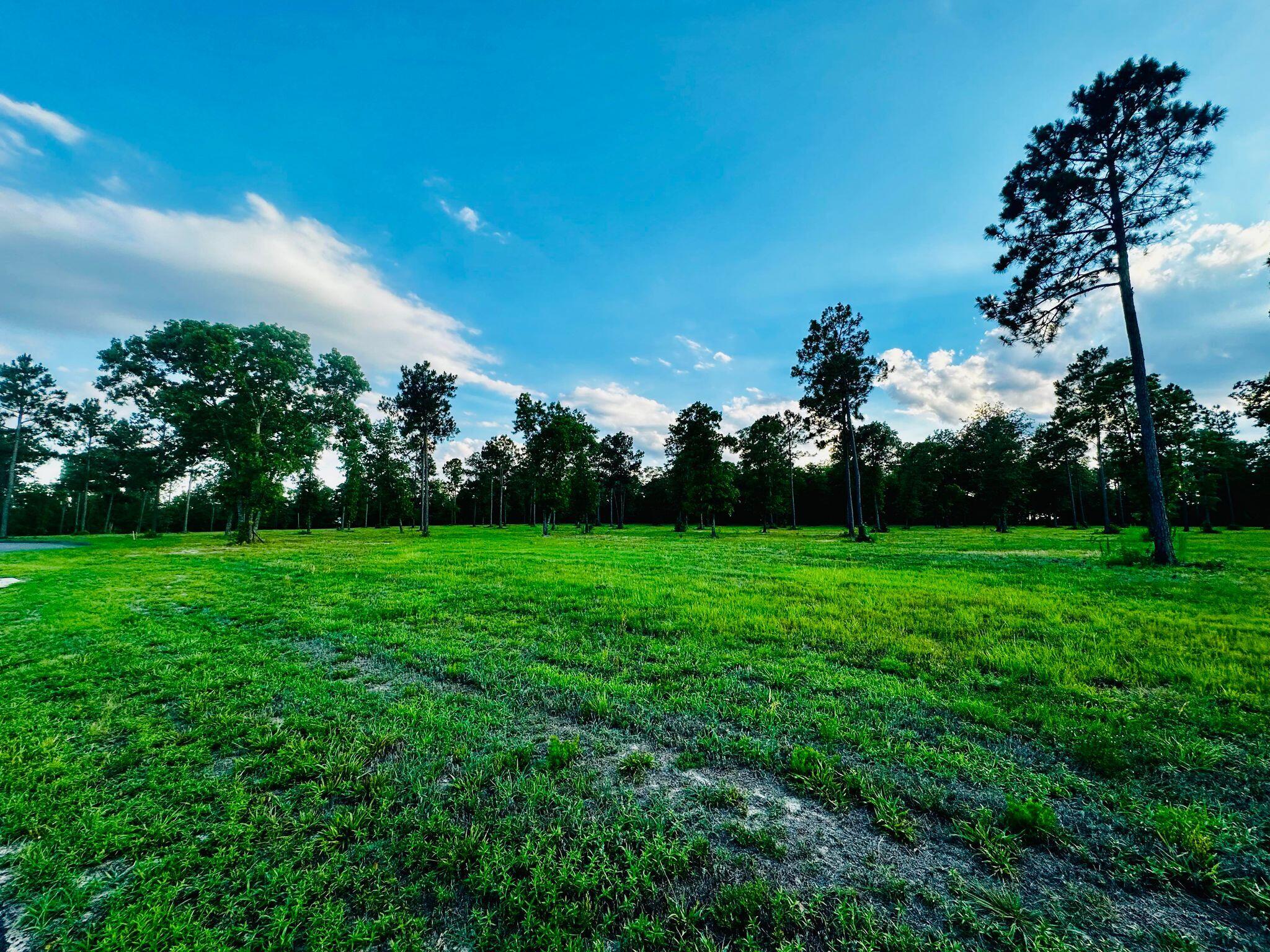 Lot 6 Troup Manor SE