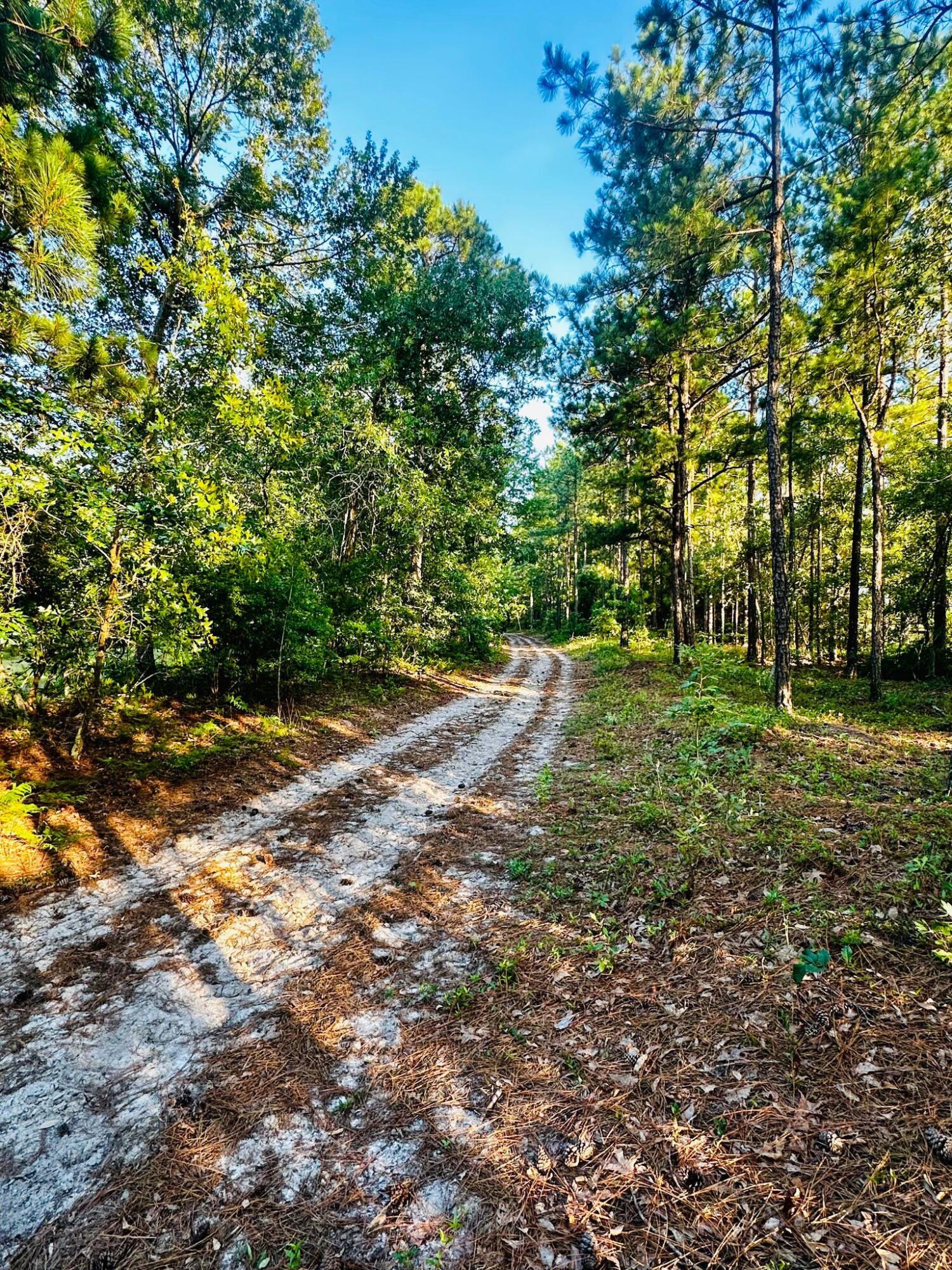 Lot 6 Troup Manor SE