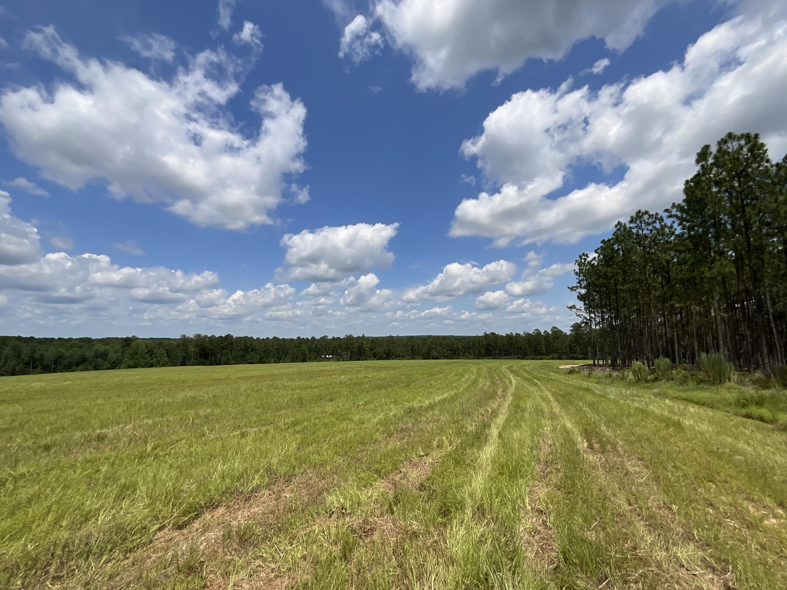 0/36 Laughlin Loop Road