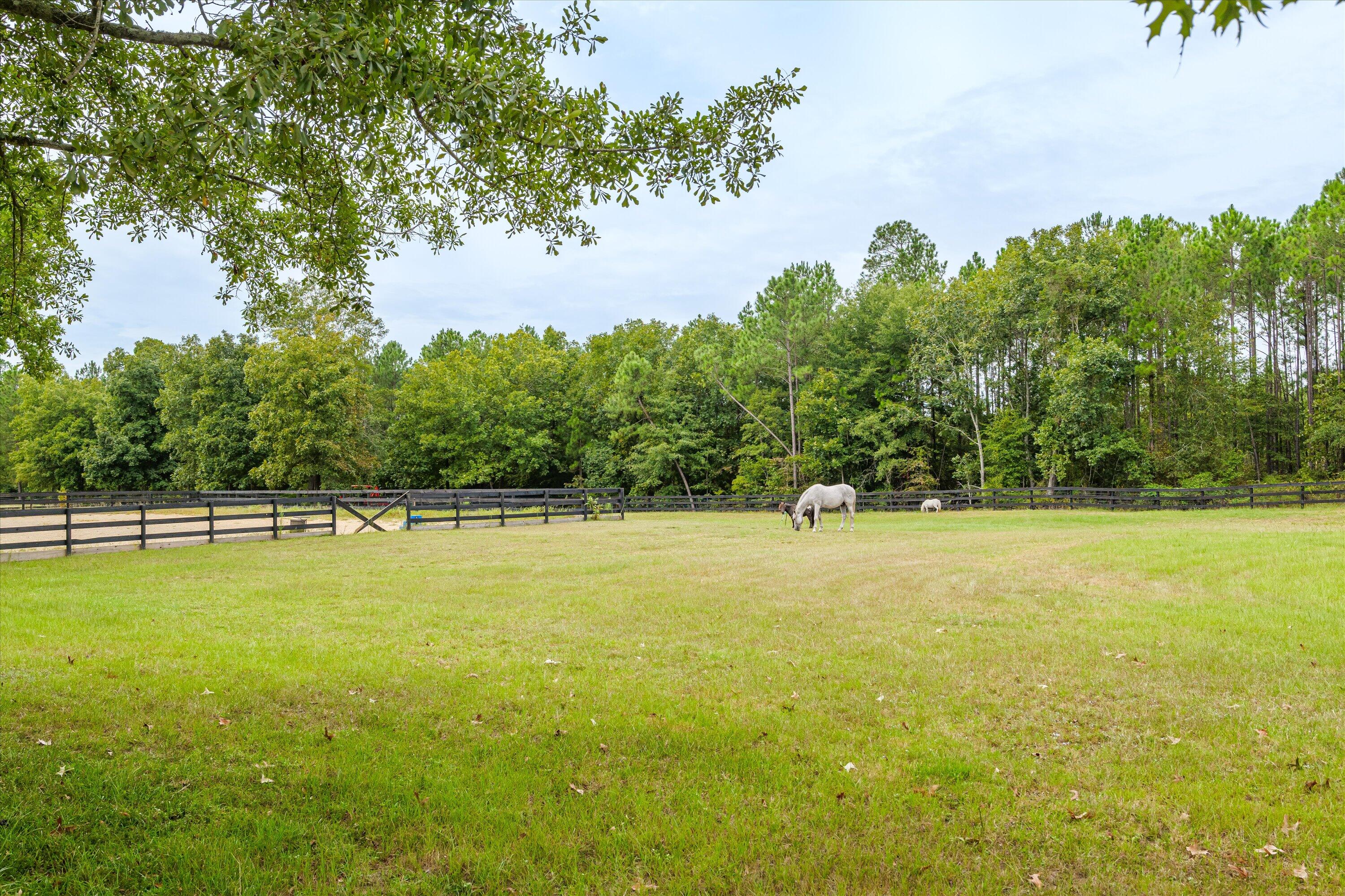 183 Bridle Creek Trail