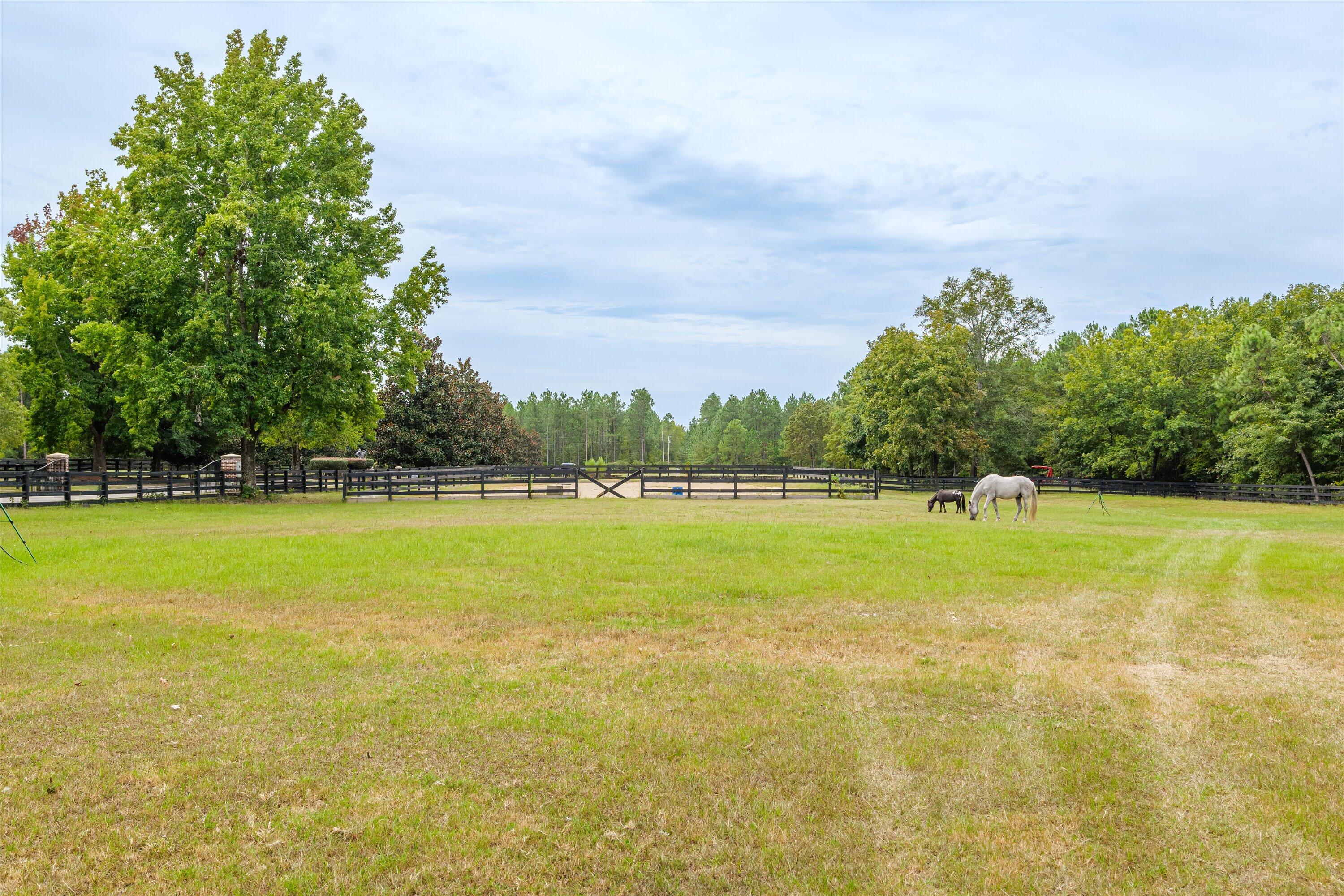 183 Bridle Creek Trail