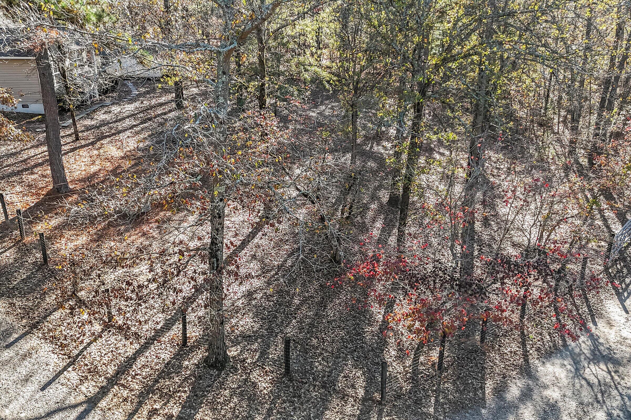 216 Bluffwood Road