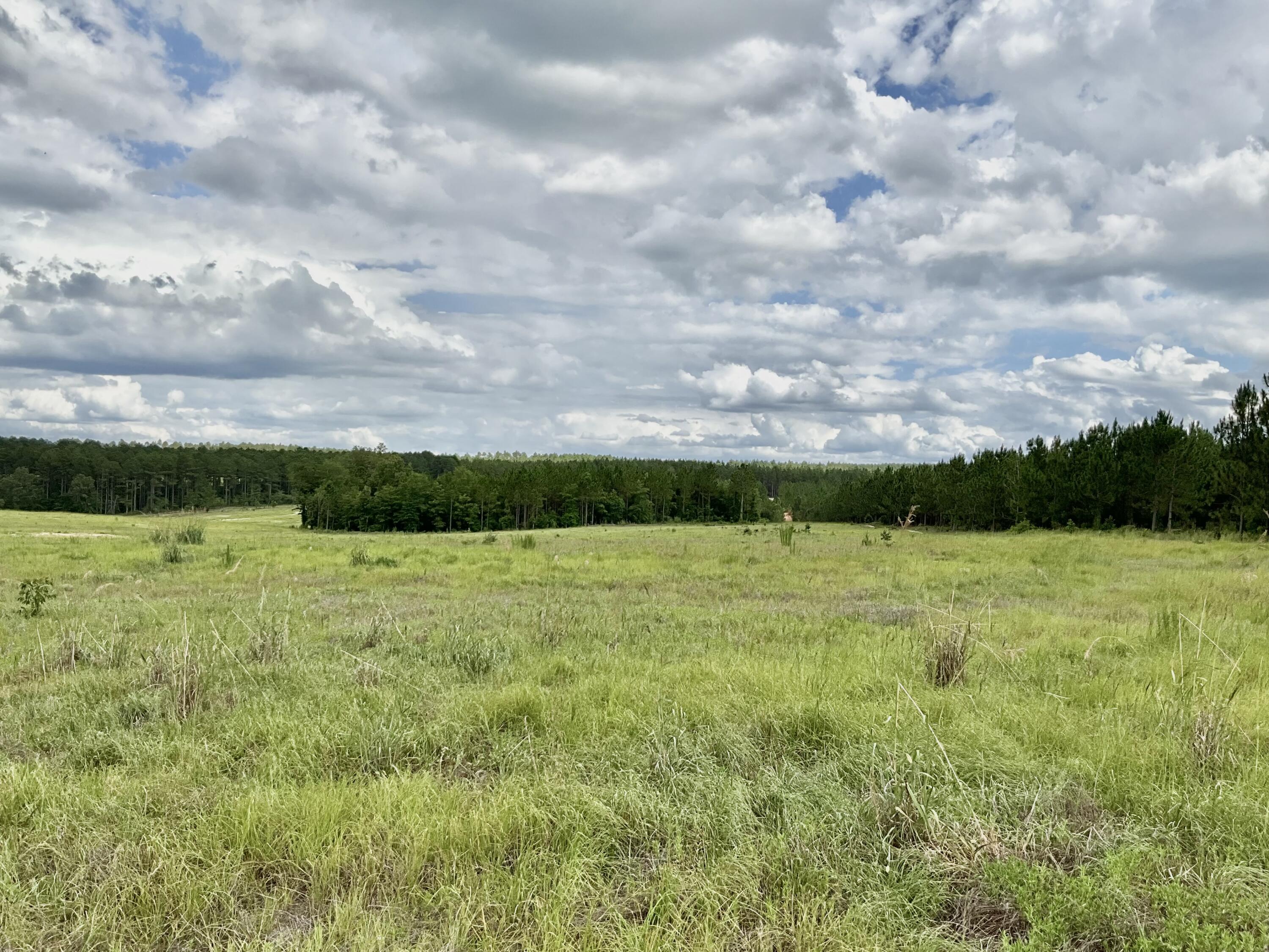 0/ Lot 101 Ranchero Drive