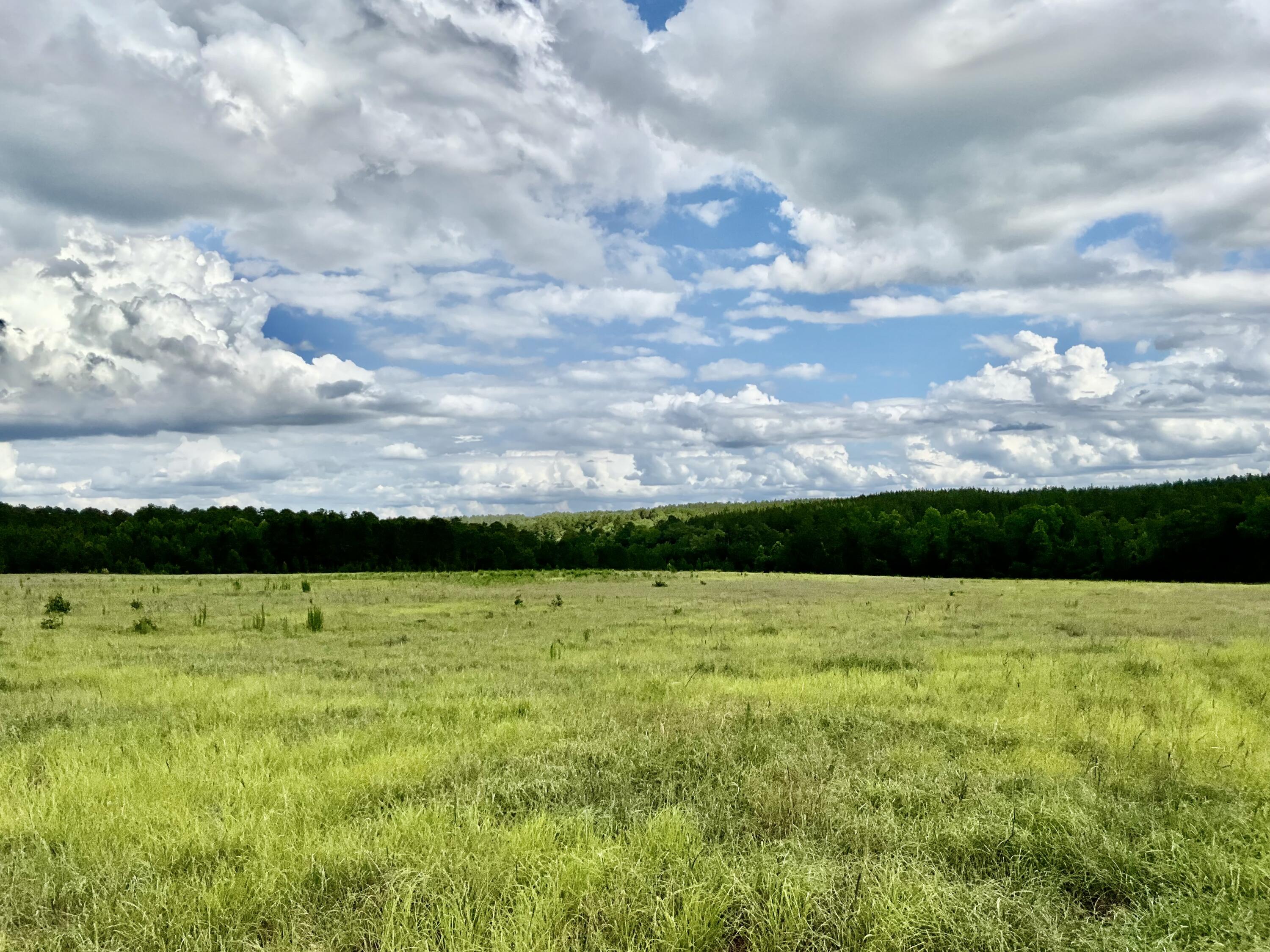 0/ Lot 101 Ranchero Drive