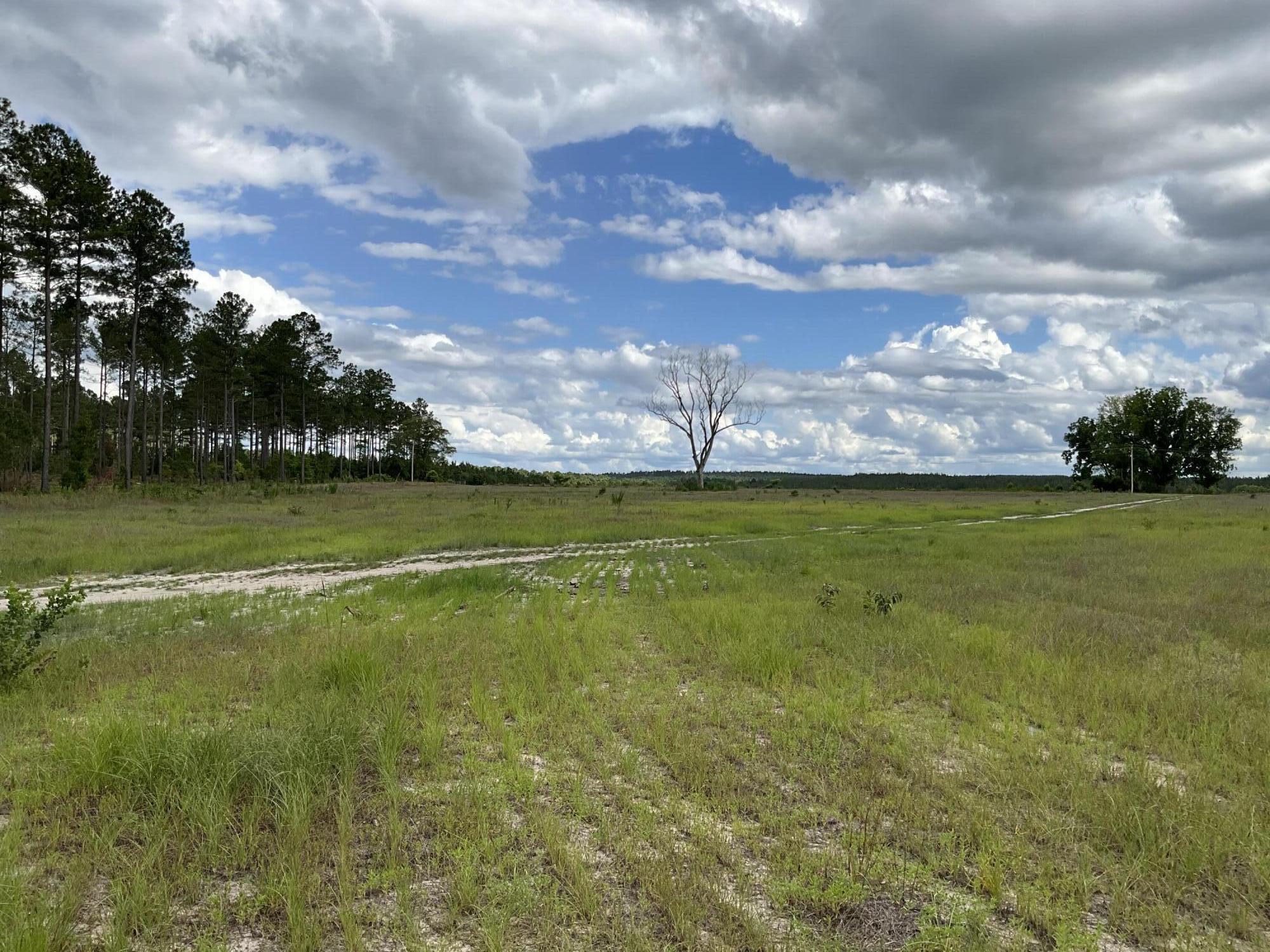 0/ Lot 101 Ranchero Drive