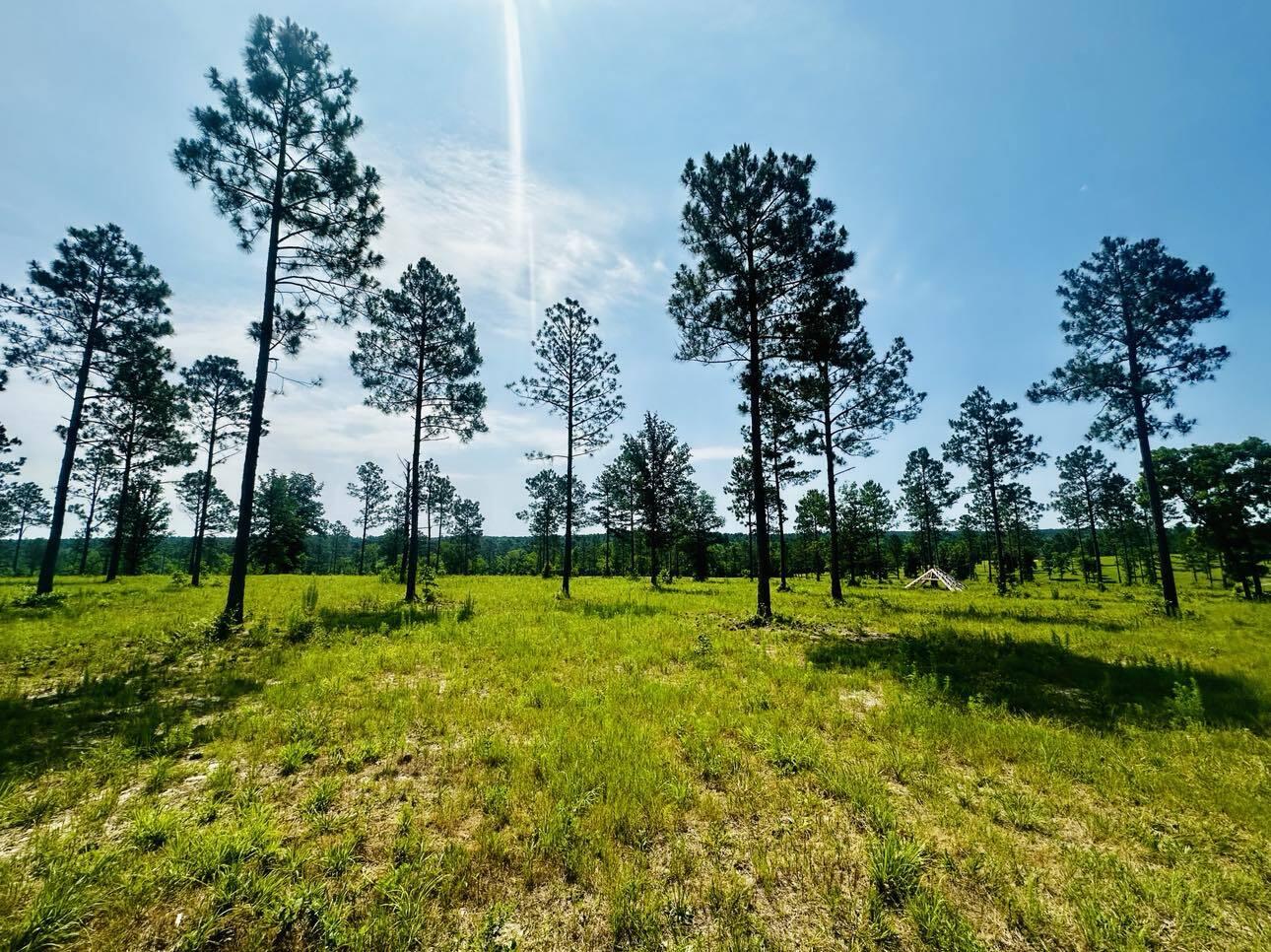 Lot 46 Covert Drive