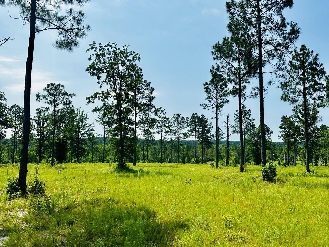 Lot 46 Covert Drive