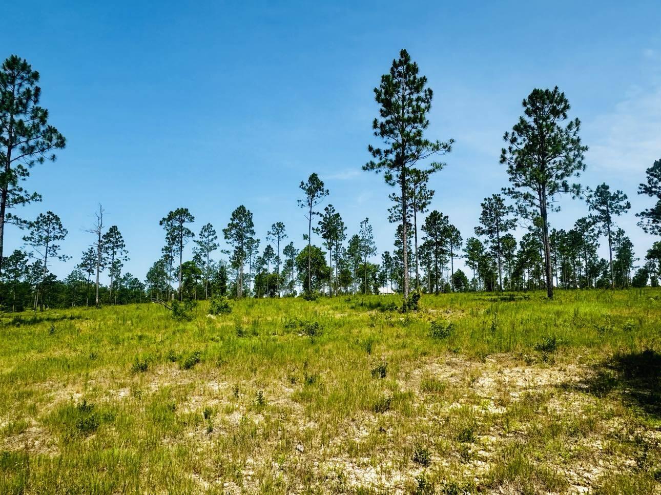 Lot 46 Covert Drive