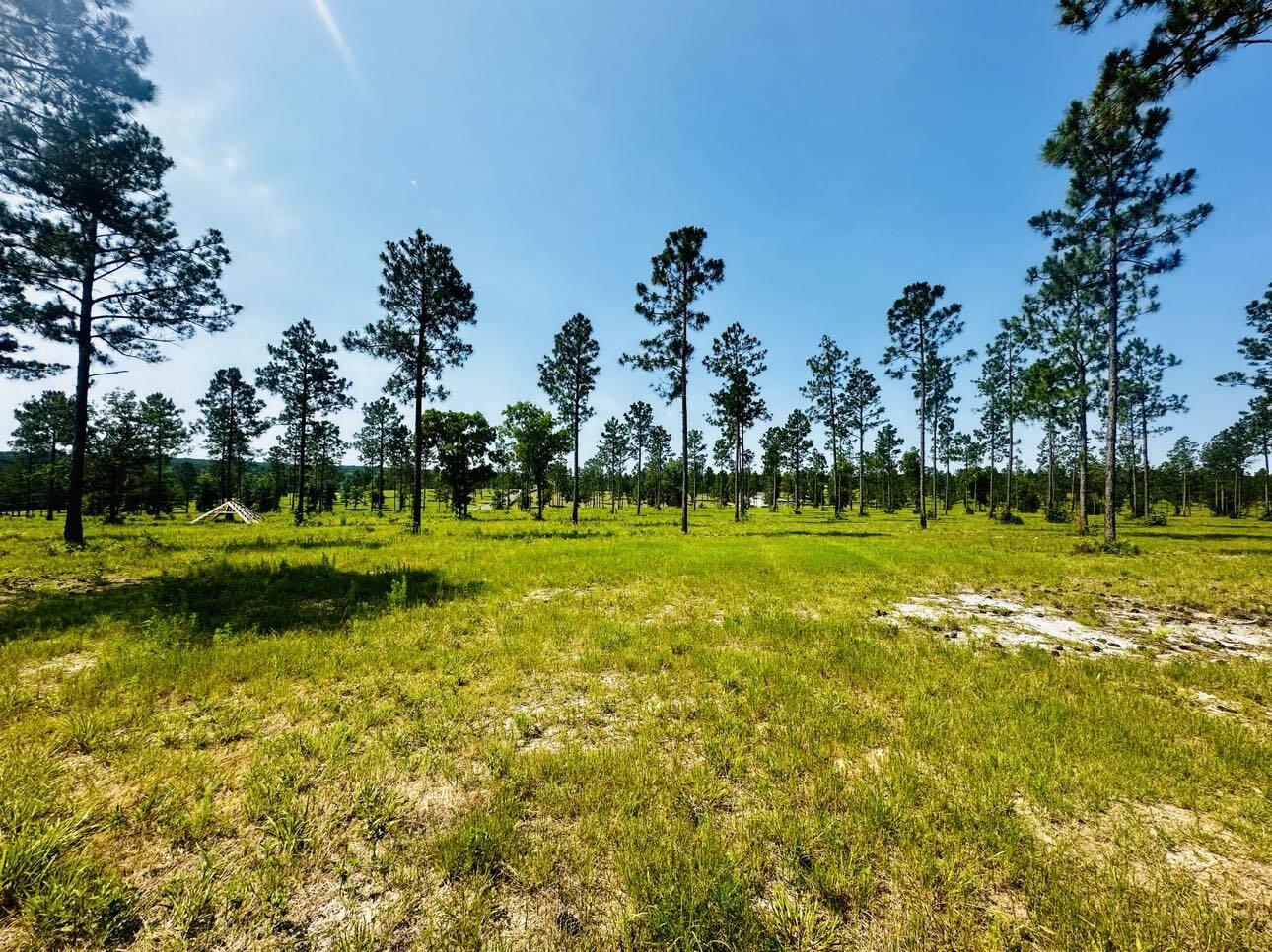 Lot 46 Covert Drive