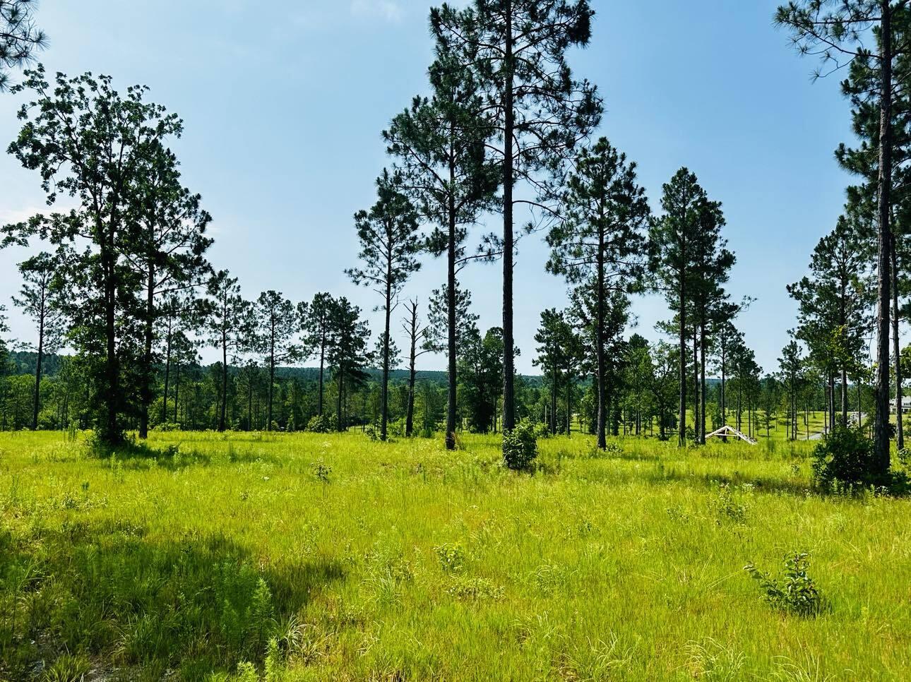 Lot 46 Covert Drive