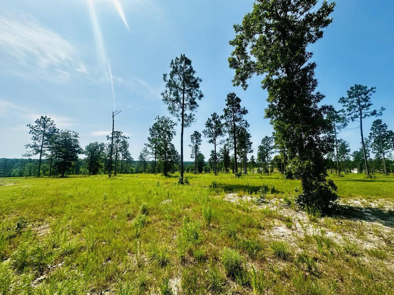 Lot 46 Covert Drive