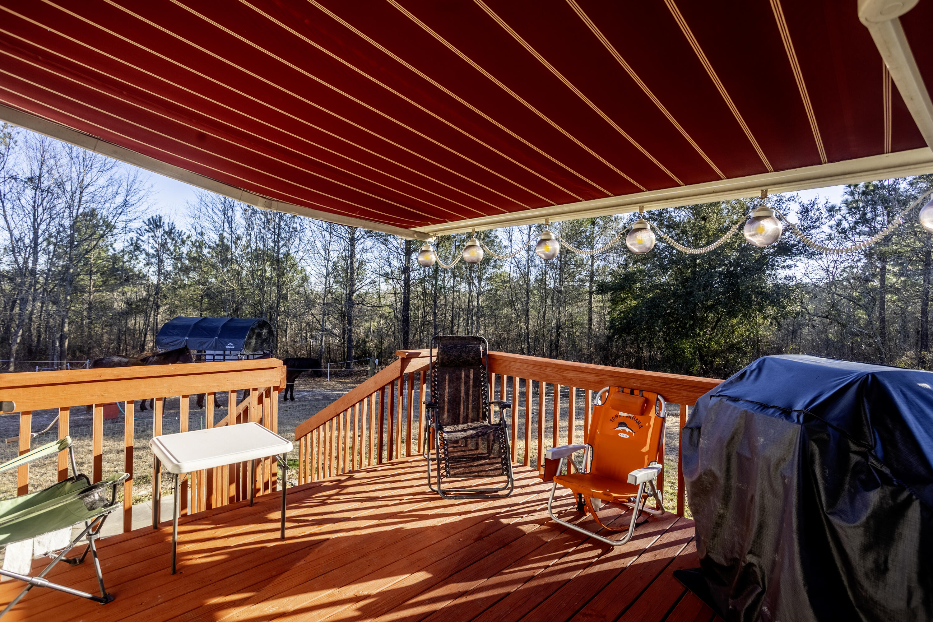 390 Missy Lane