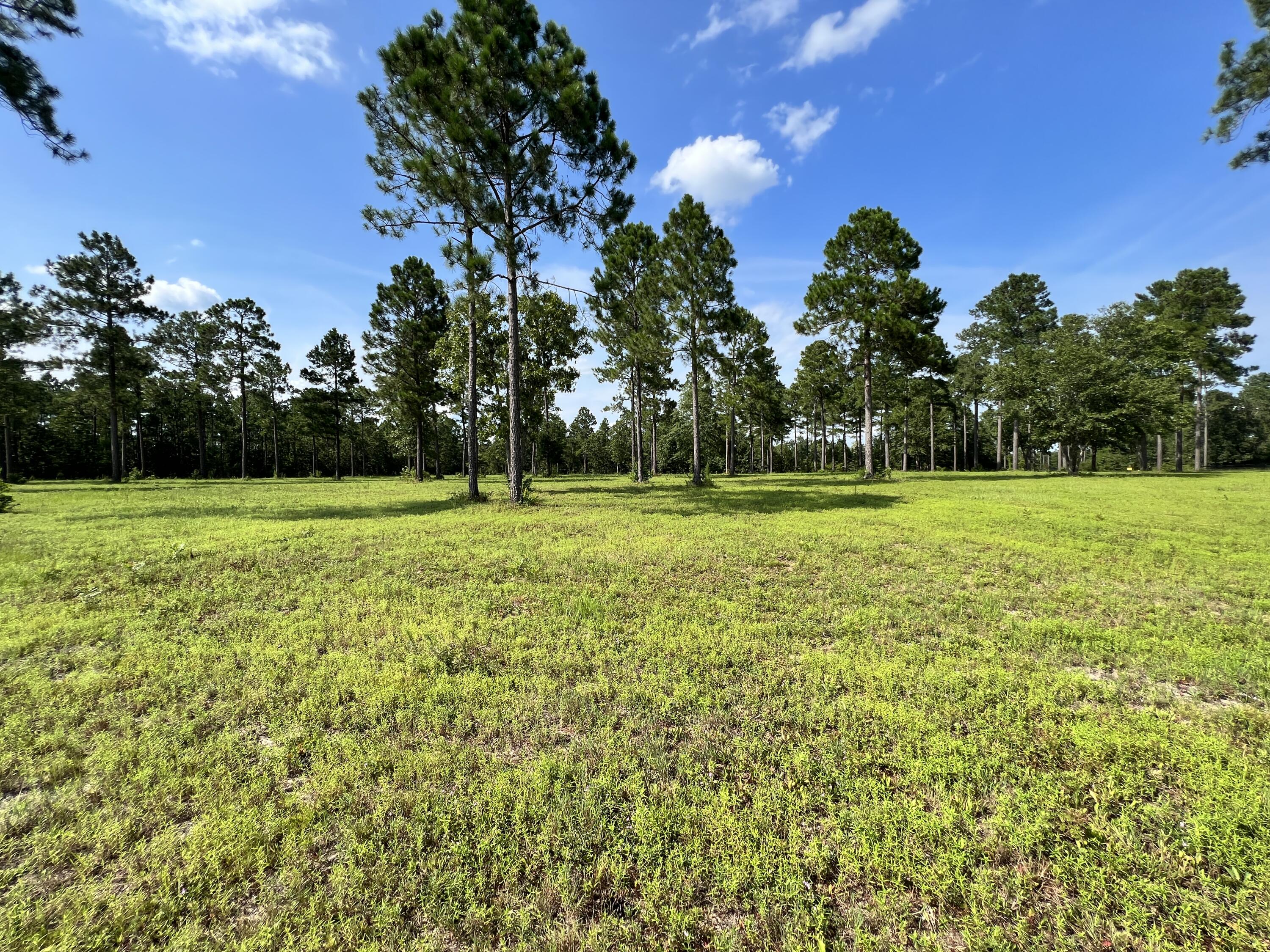 Lot 5 Dasher Circle