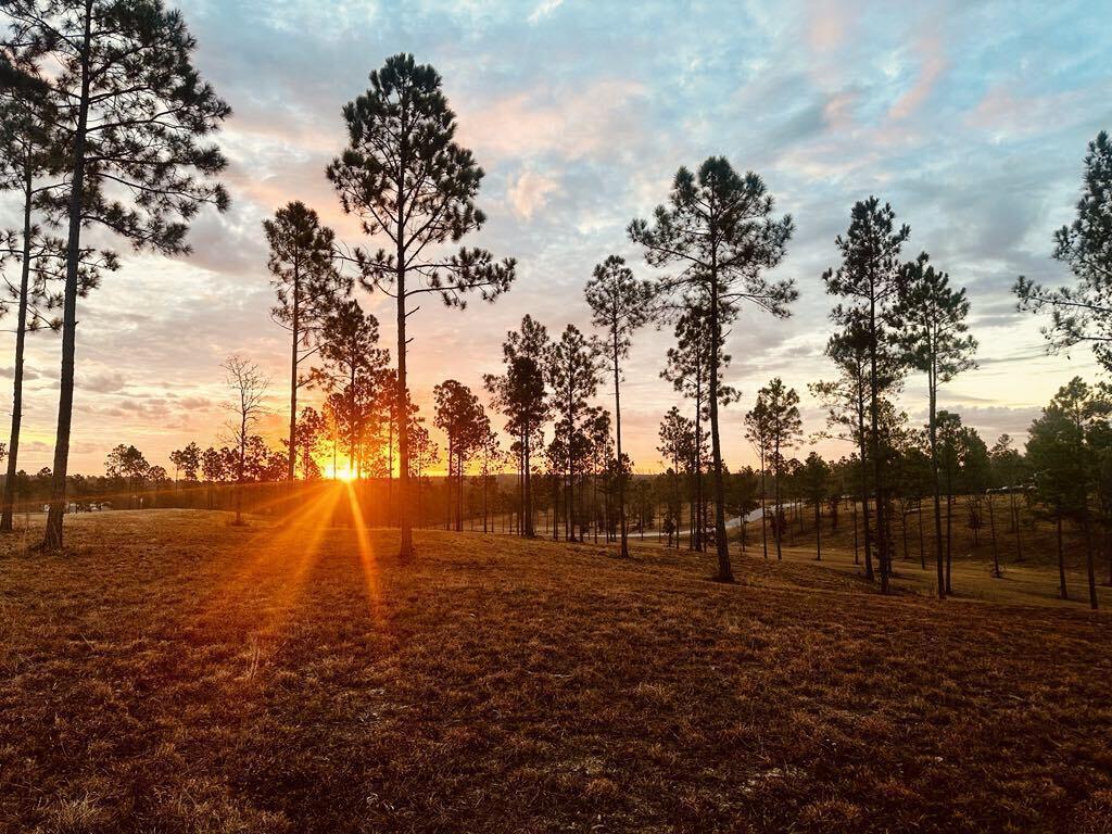 Lot 6 Parque Avenue SE