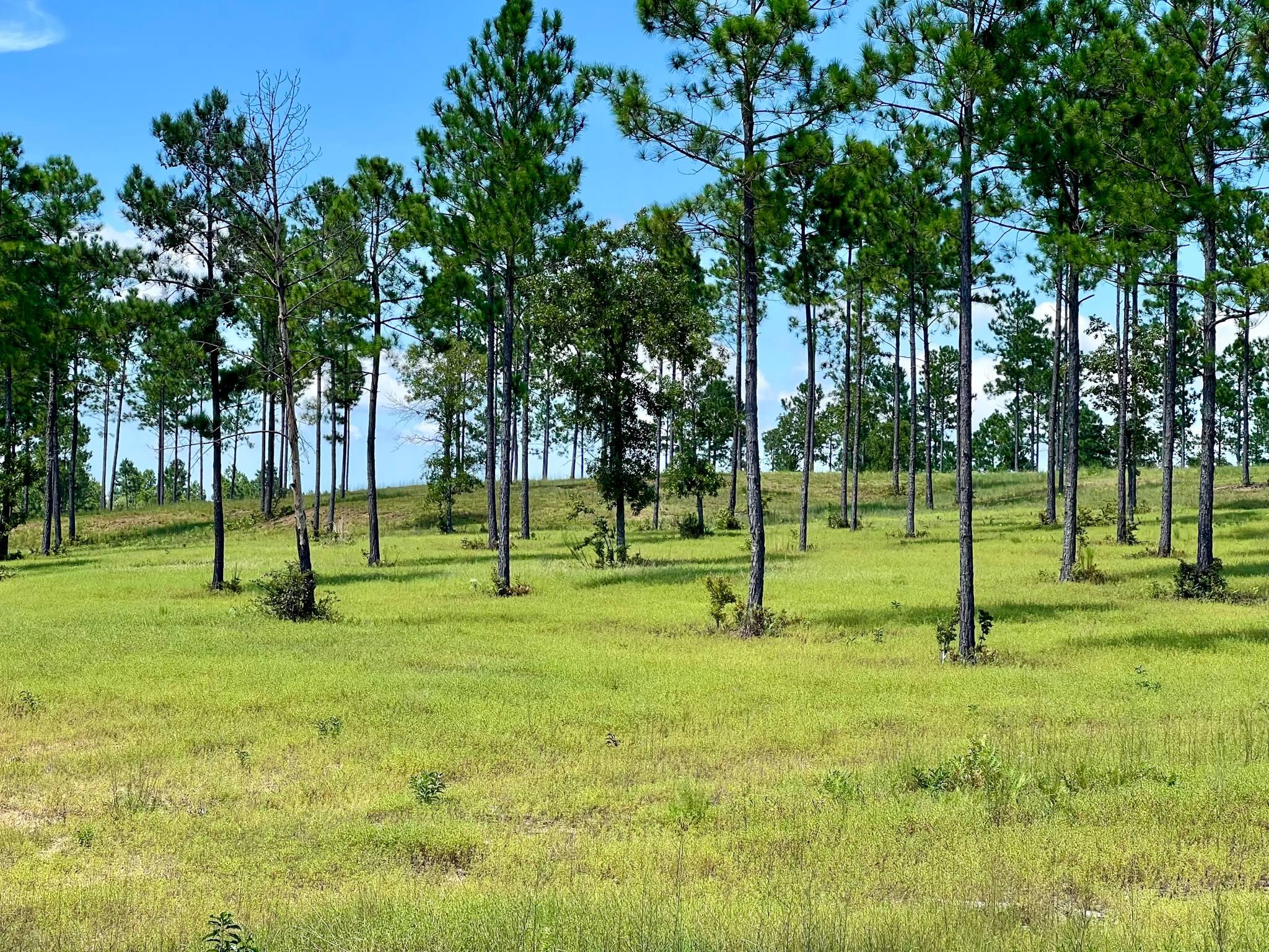 Lot 6 Parque Avenue SE