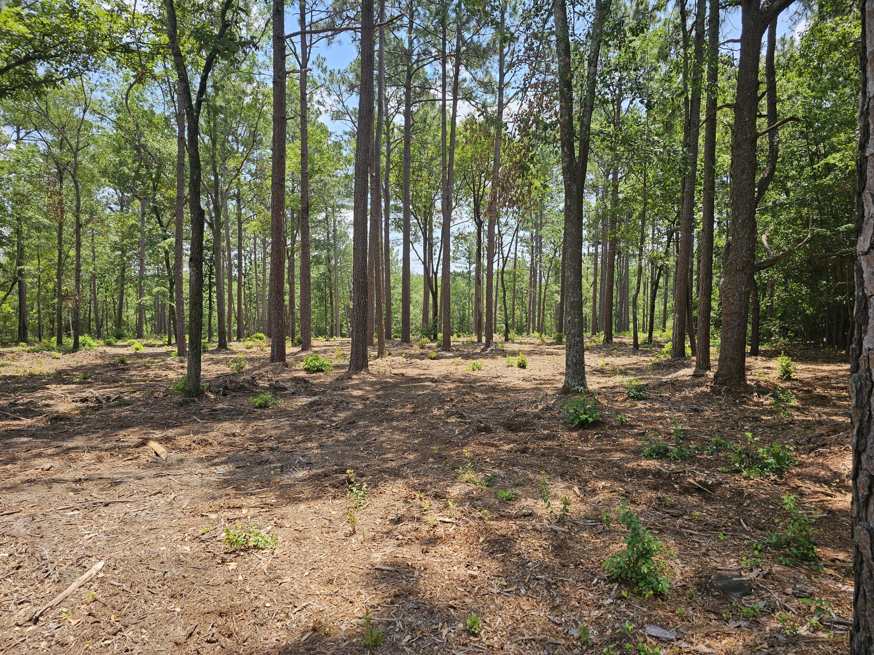 Lot 4 Snipes Road