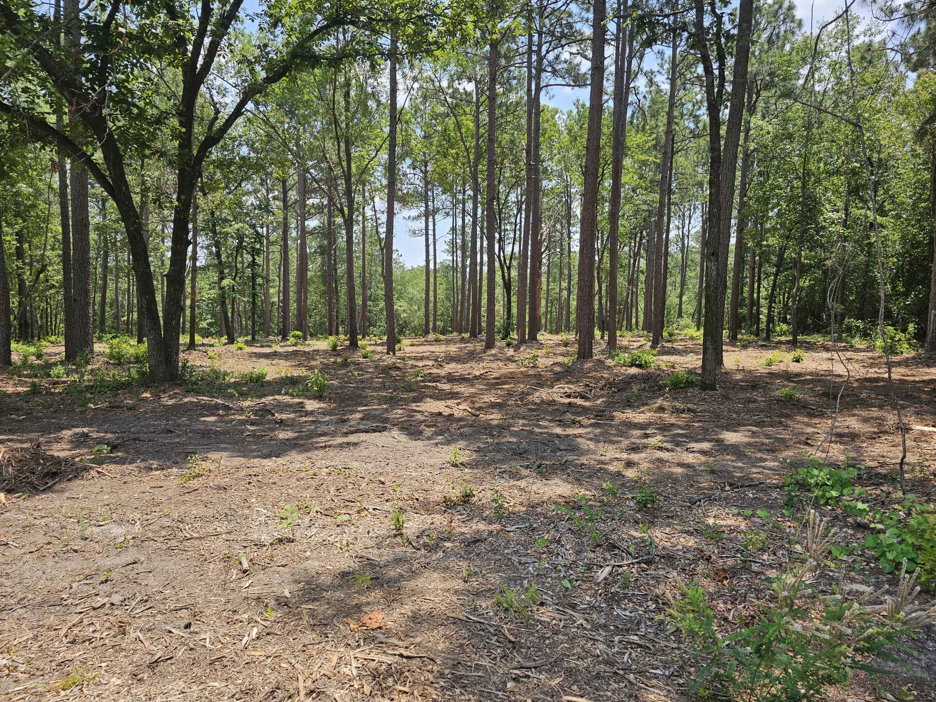 Lot 4 Snipes Road