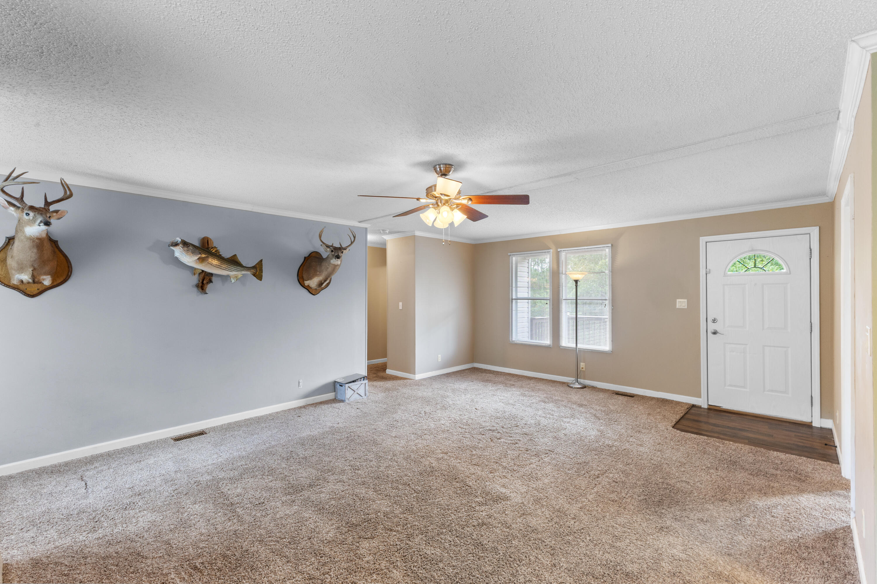 152 Beaver Branch Road