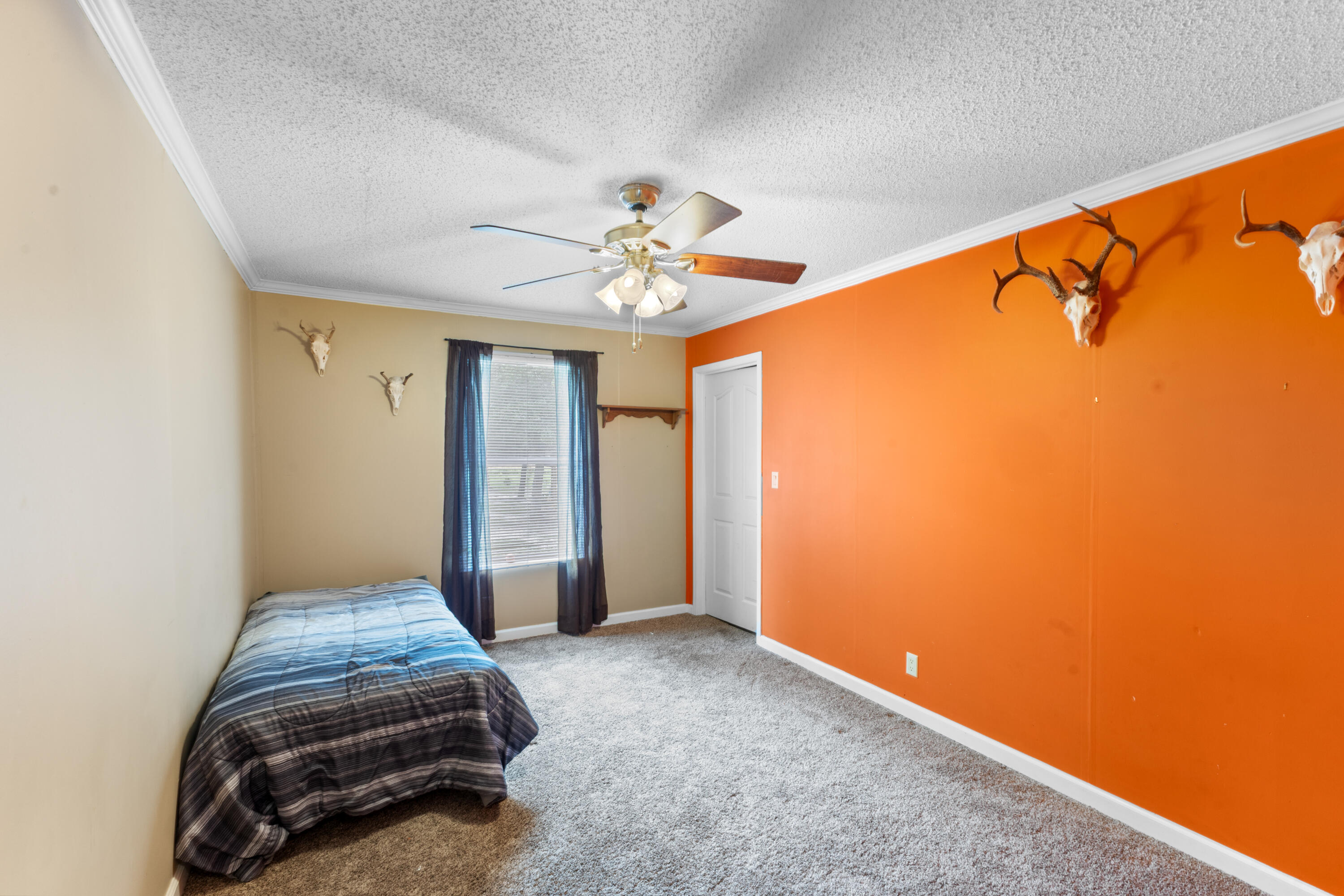 152 Beaver Branch Road