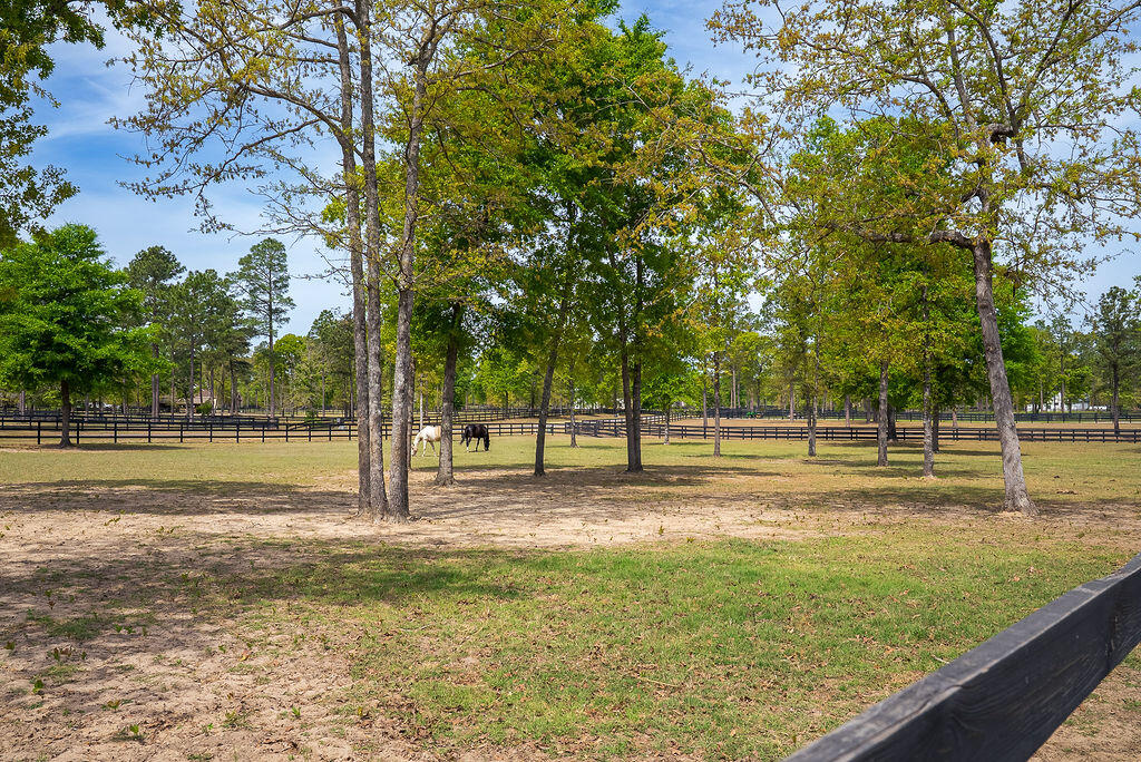 707 Paddock Club Parkway
