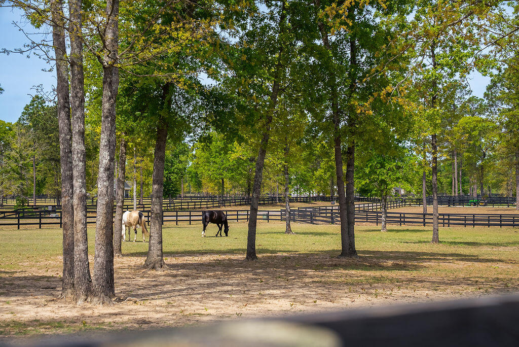 707 Paddock Club Parkway