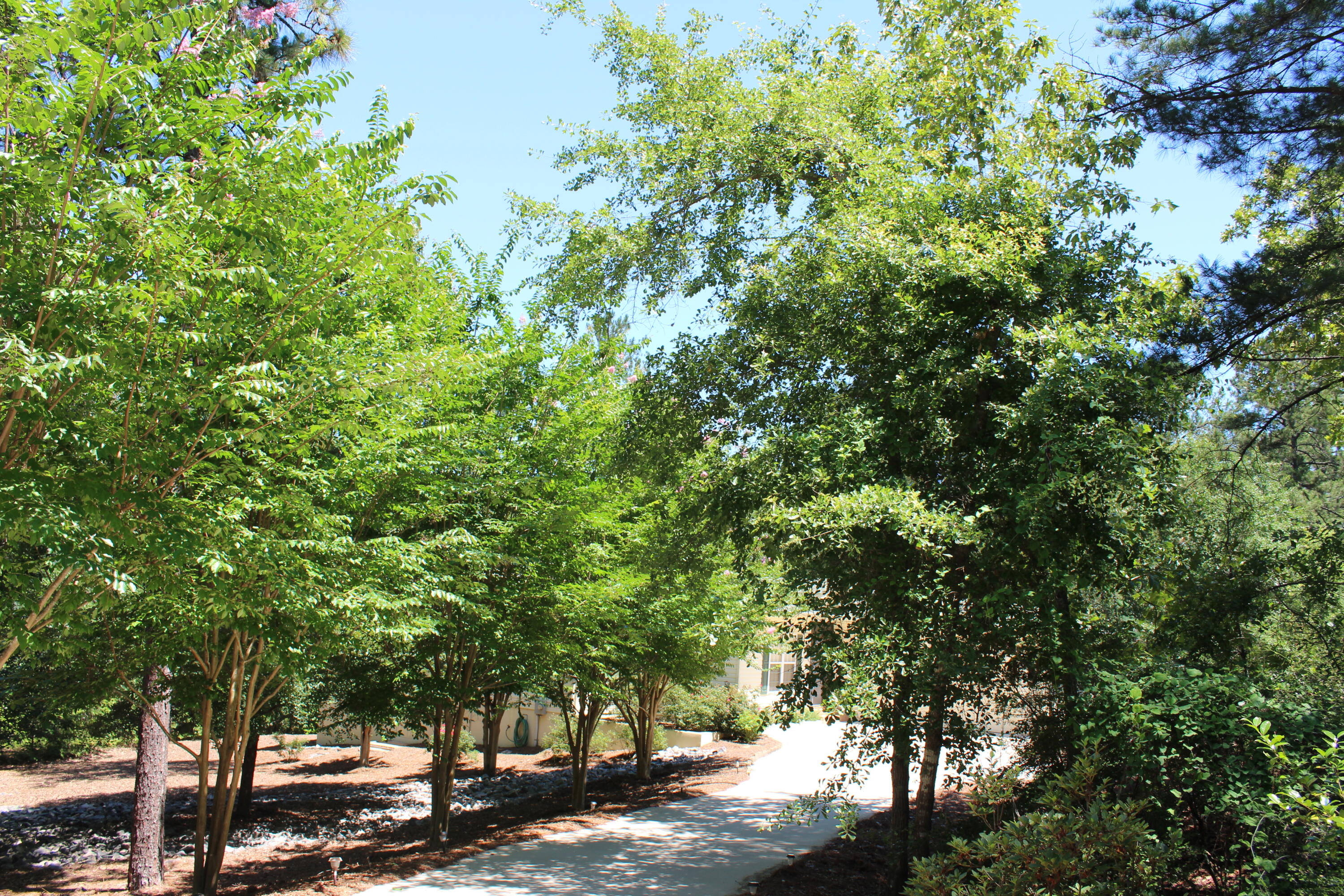 205 Oakcrest Lane
