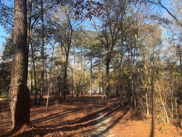 205 Oakcrest Lane
