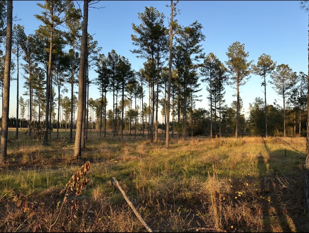 00/Lot 49 Snipes Pond Road